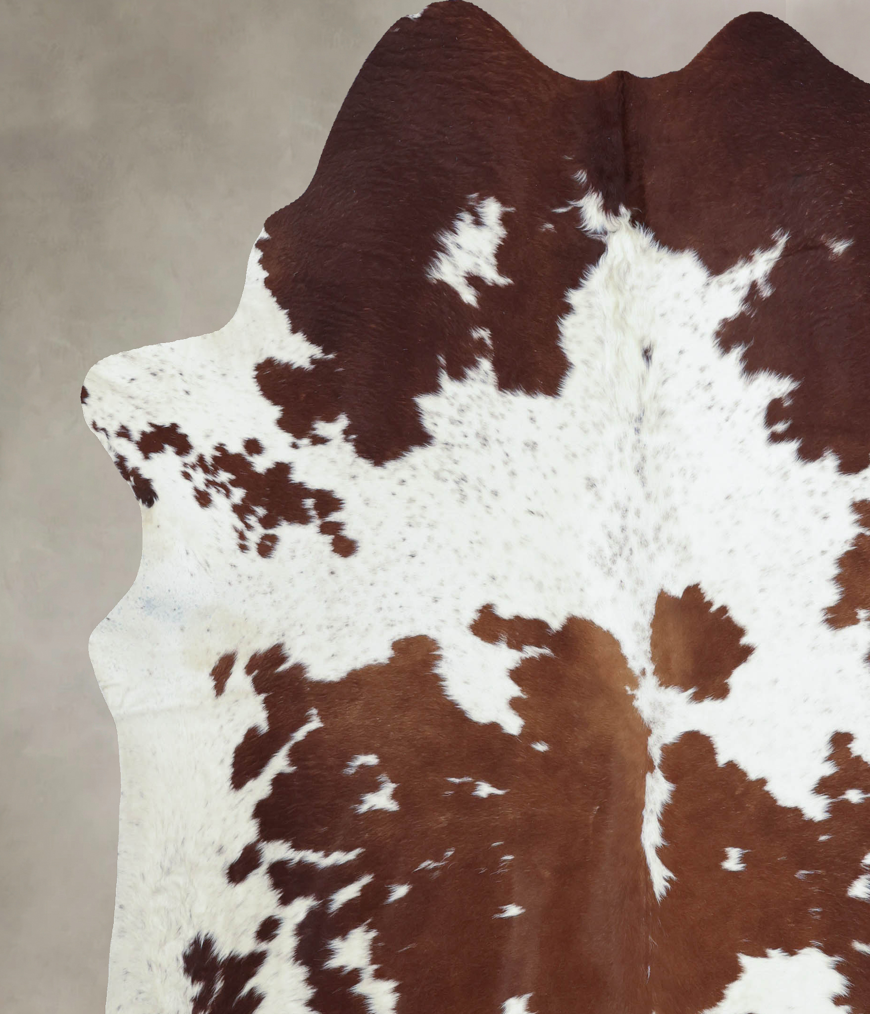 Brown and White Cowhide Rug #B8053