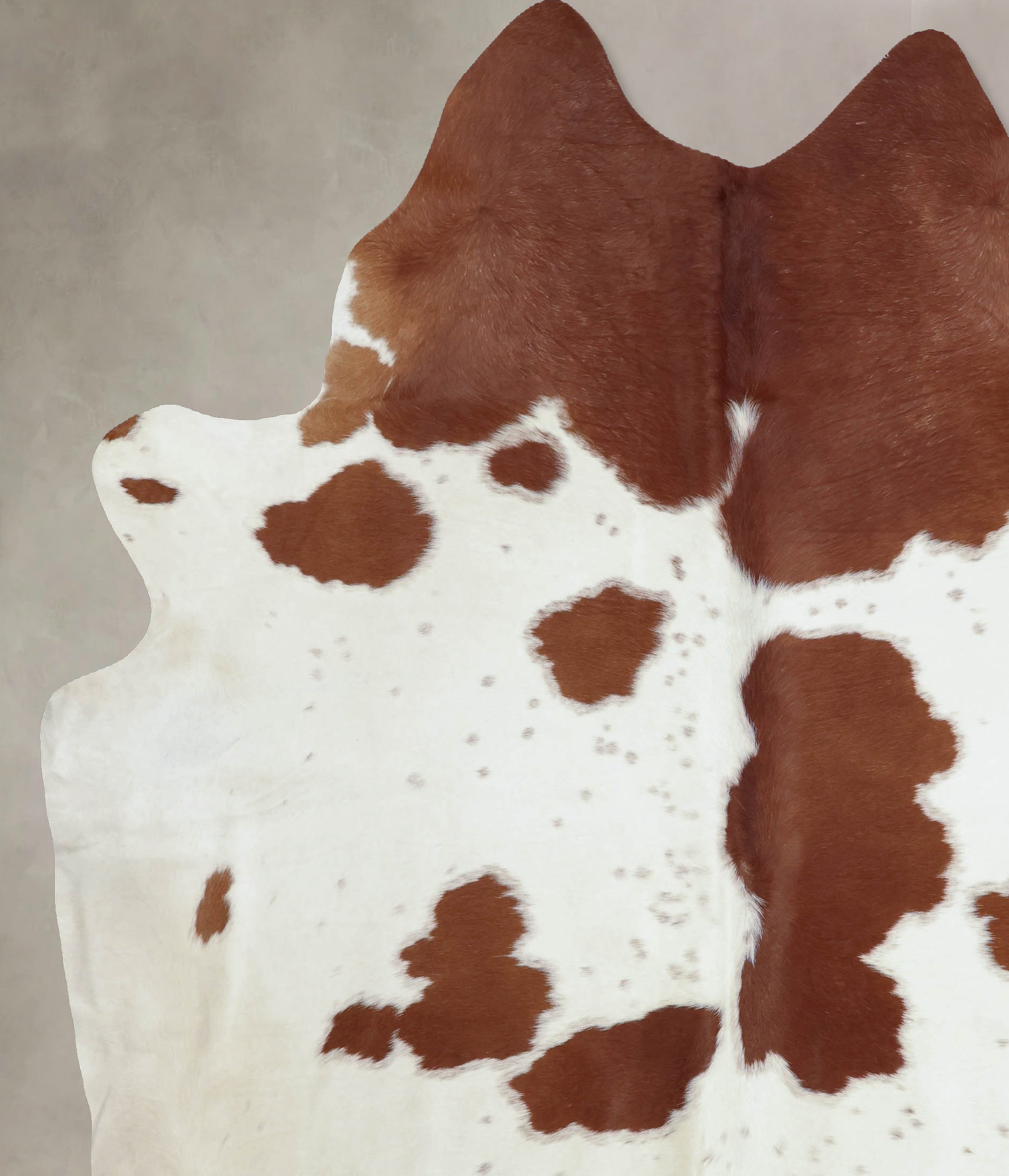 Brown and White Cowhide Rug #B8054