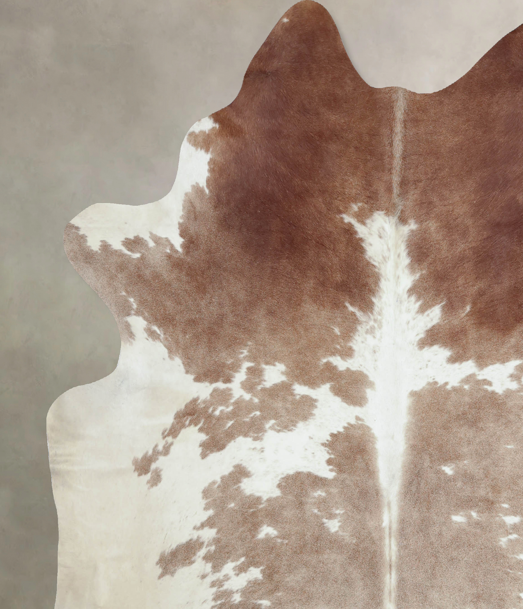 Brown and White Cowhide Rug #B8055