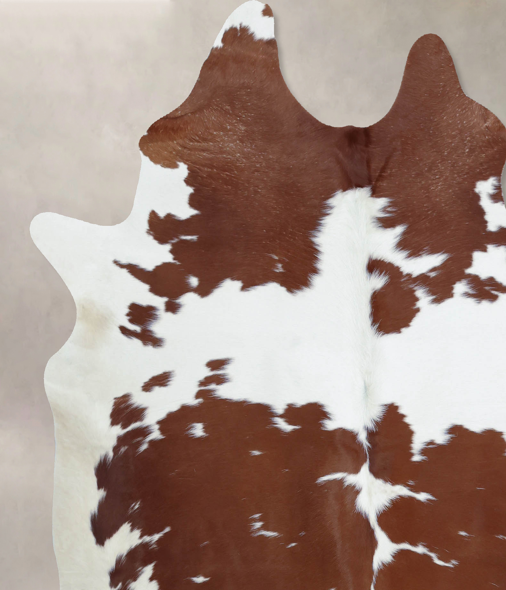 Brown and White Cowhide Rug #B8064