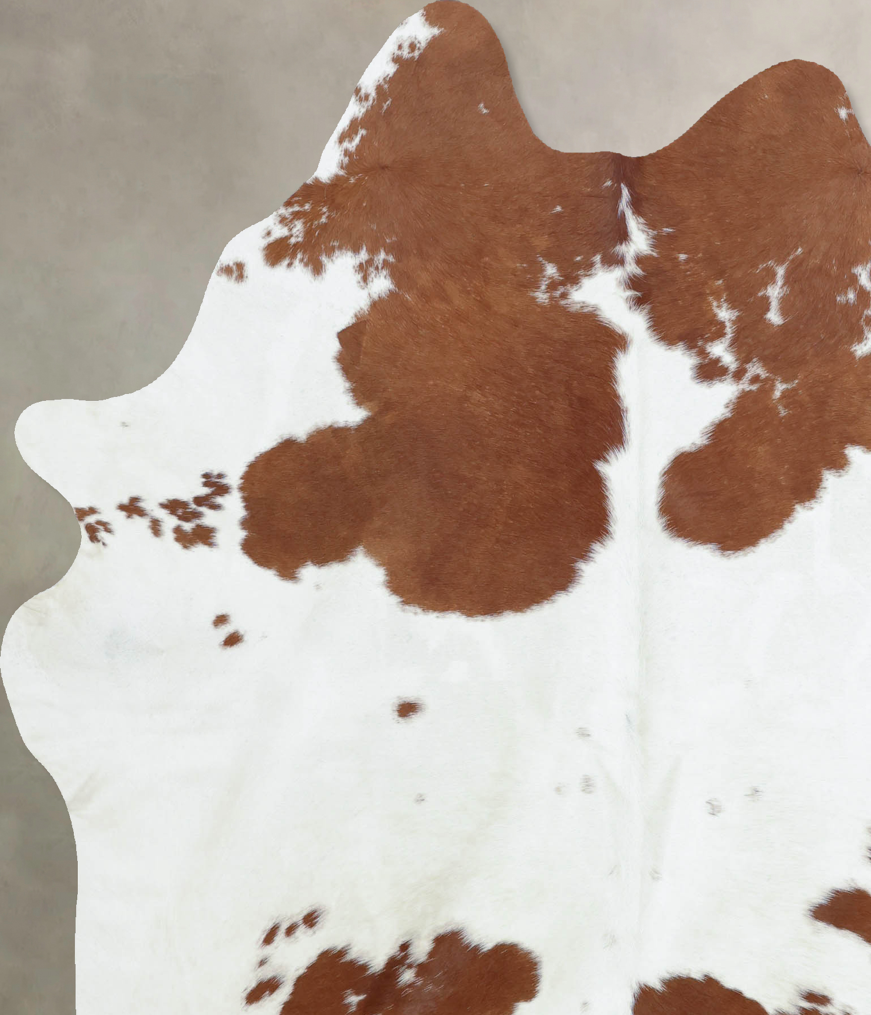 Brown and White Cowhide Rug #B8090