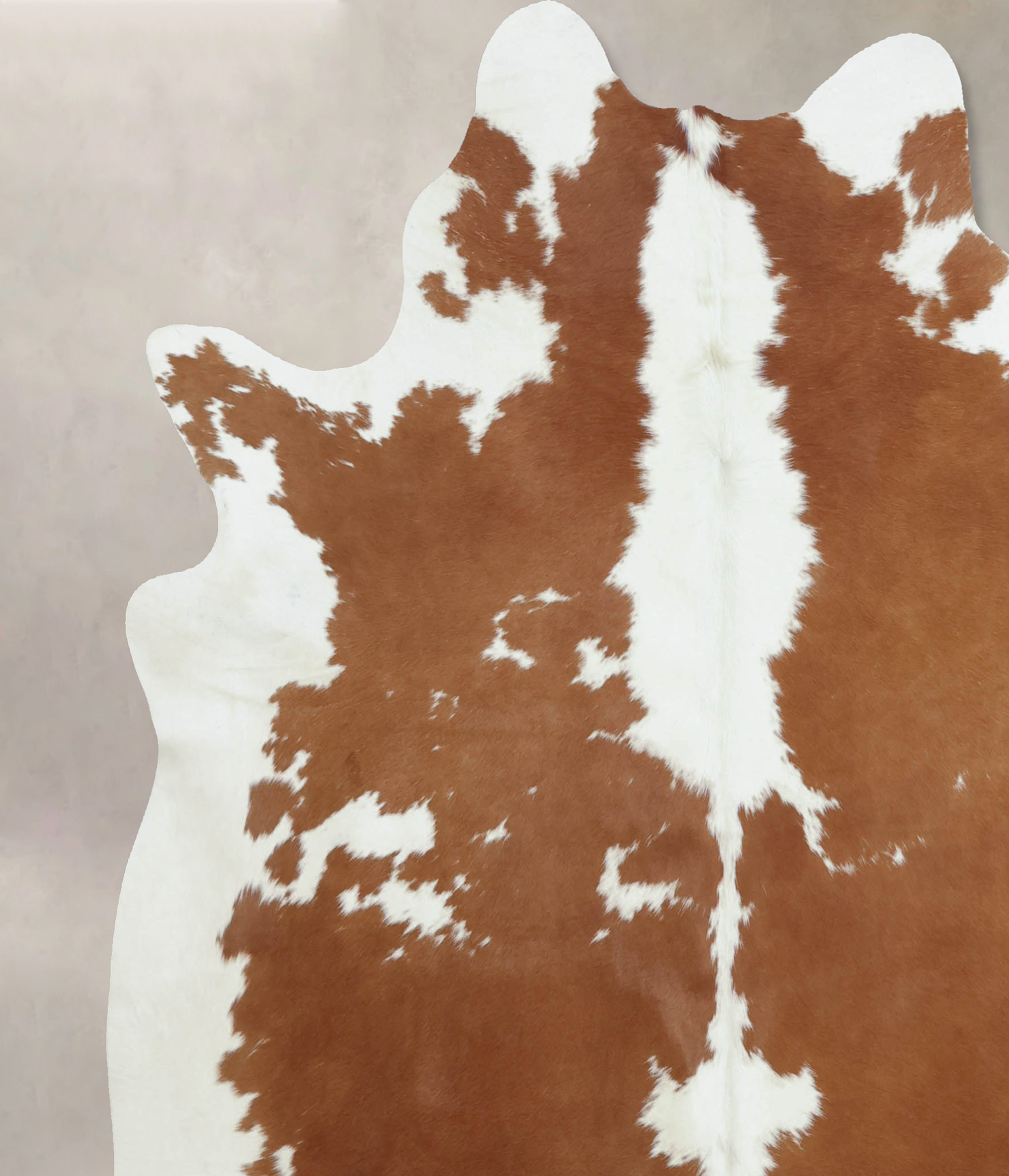 Brown and White Cowhide Rug #B8108