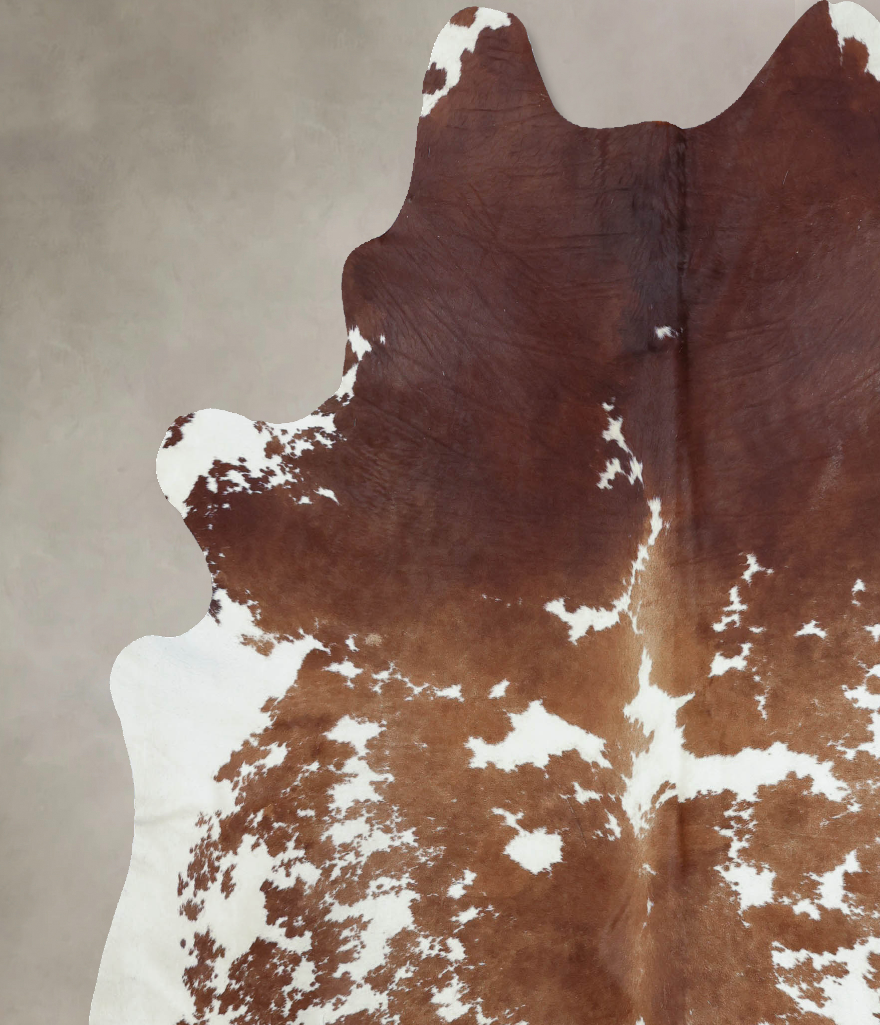 Brown and White Cowhide Rug #B8112