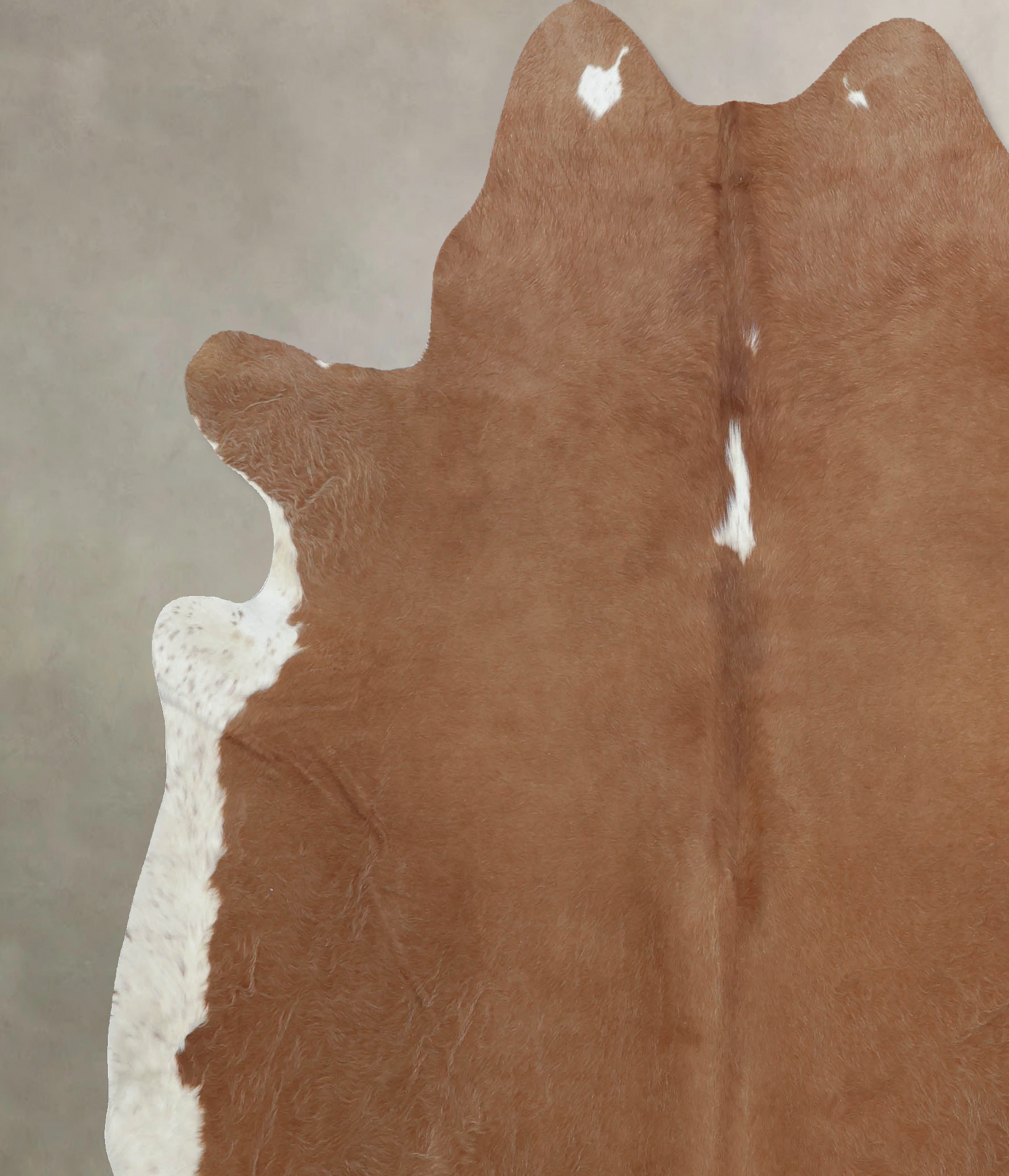 Brown and White Regular Cowhide Rug #B8114