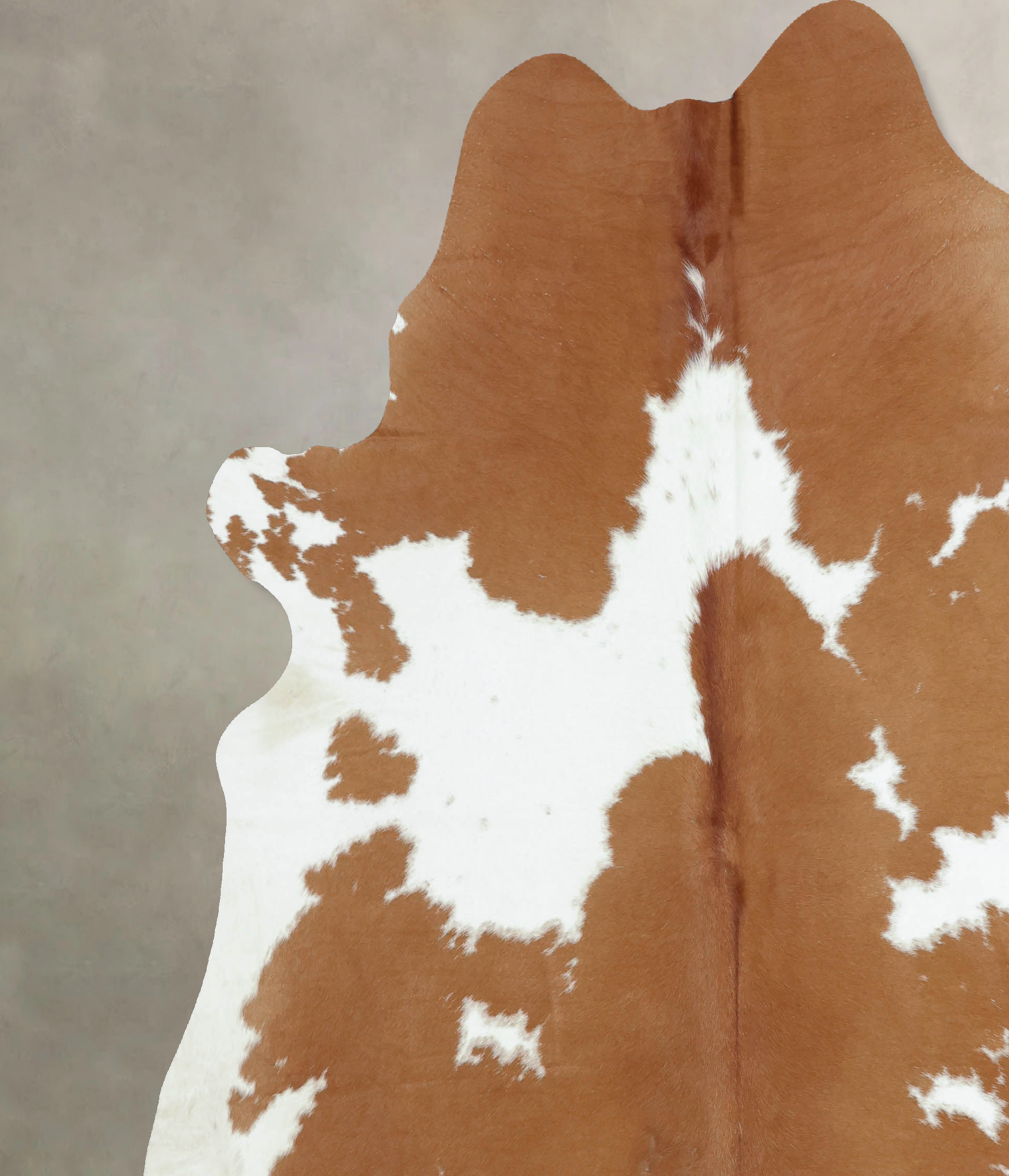 Brown and White Cowhide Rug #B8185