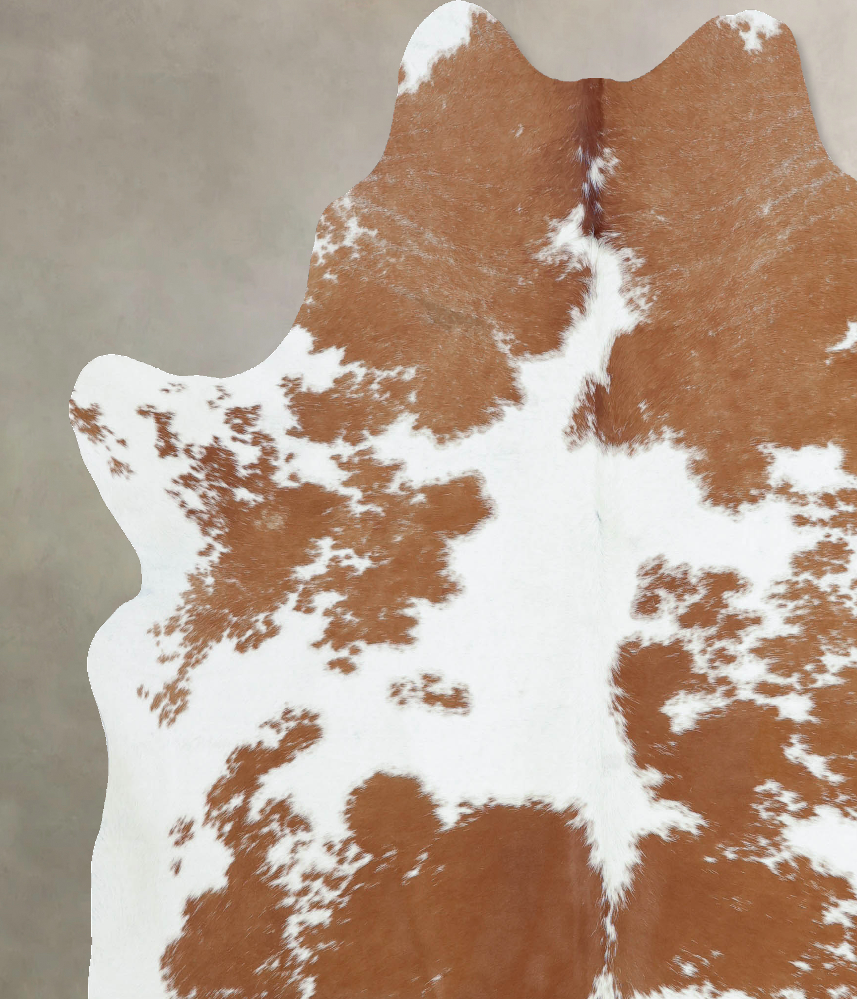 Brown and White Cowhide Rug #B8186