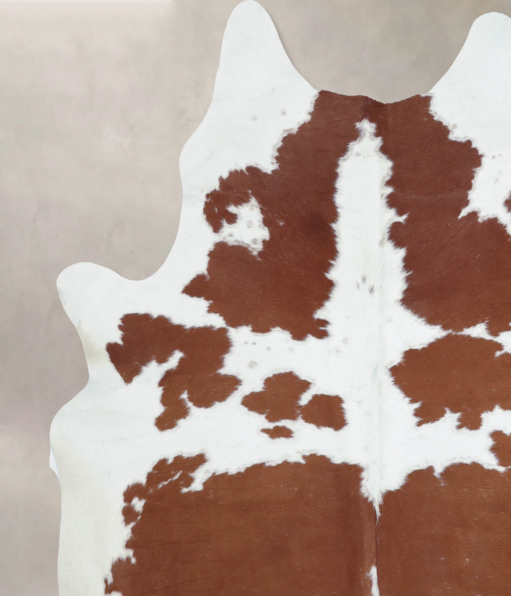 Brown and White Cowhide Rug #B8187