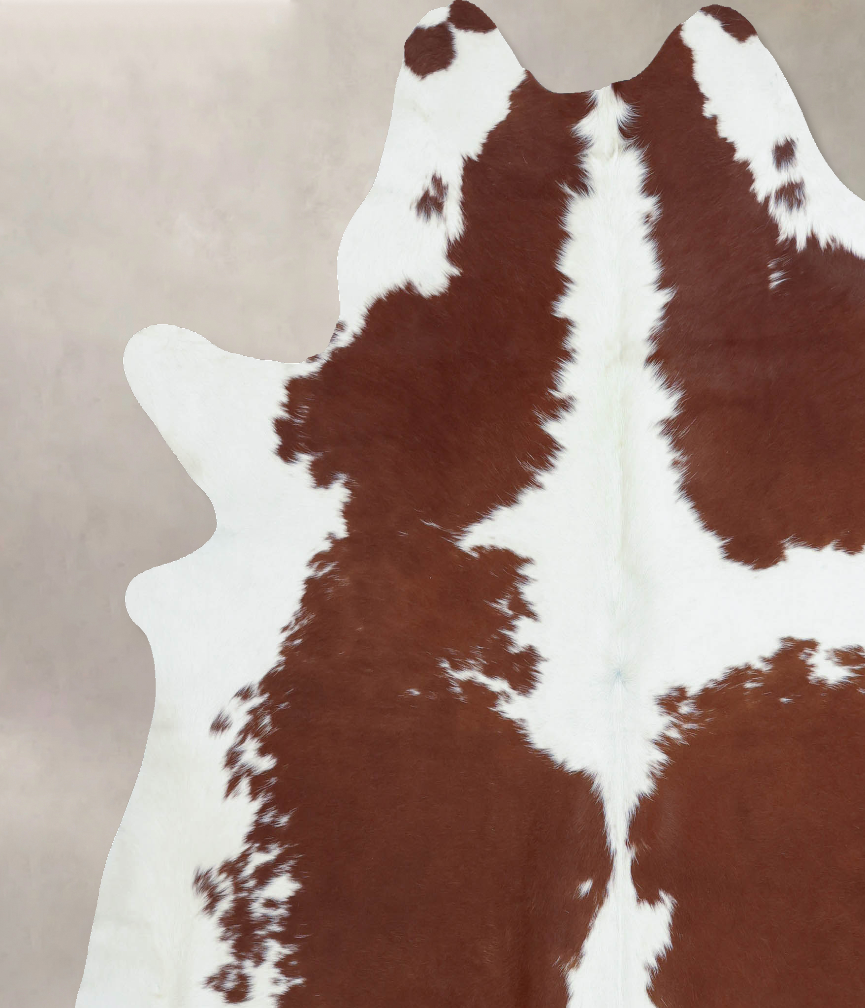 Brown and White Cowhide Rug #B8188