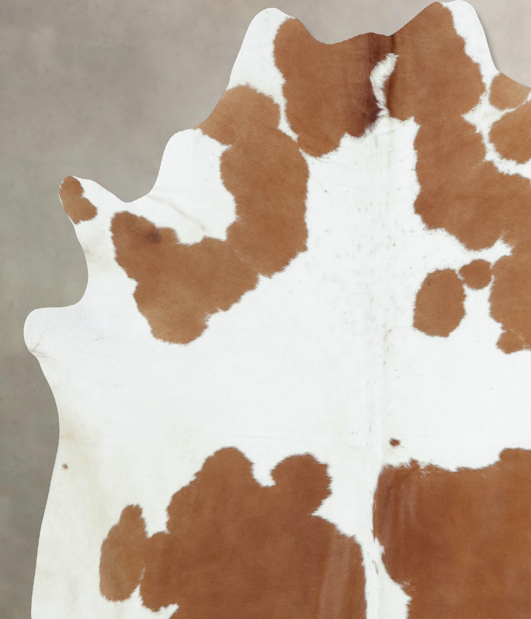 Brown and White Cowhide Rug #B8189