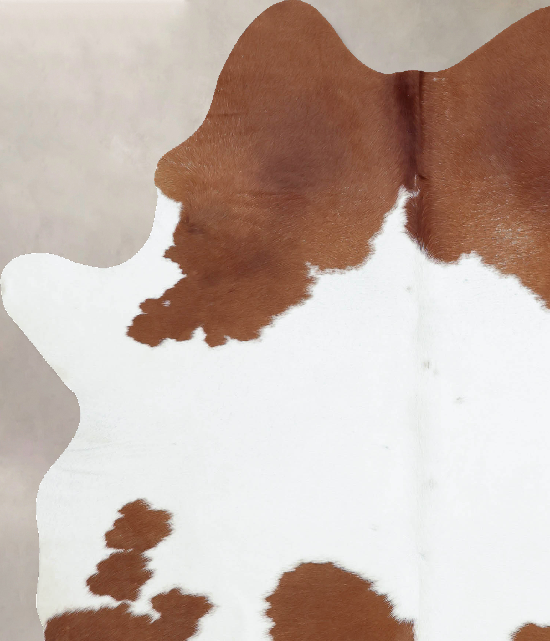 Brown and White Cowhide Rug #B8236