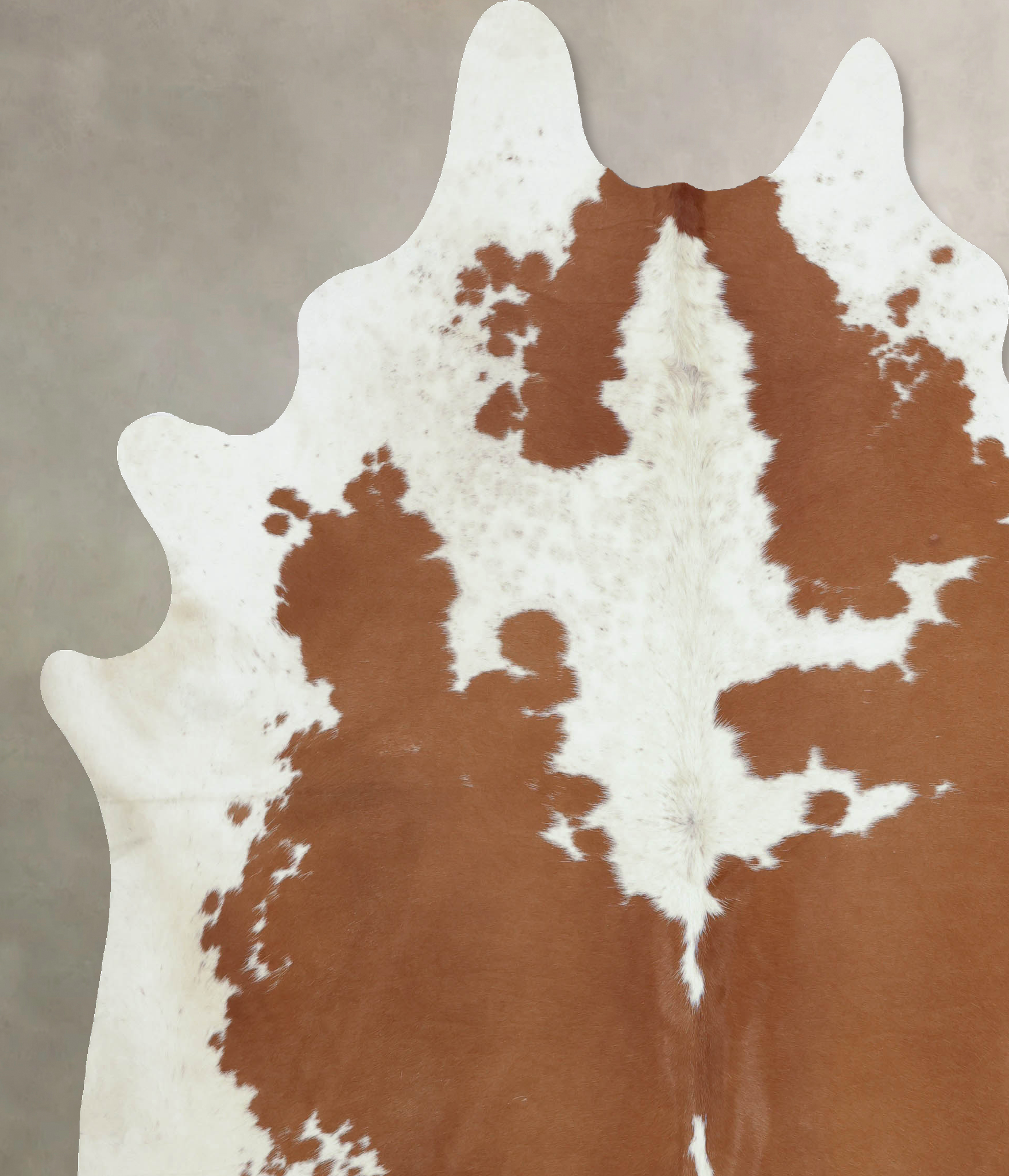 Brown and White Cowhide Rug #B8359