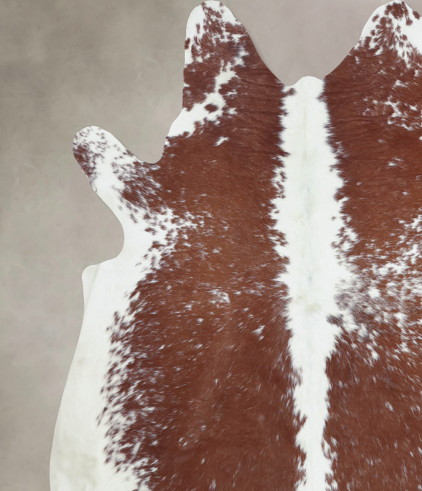 Brown and White Cowhide Rug #B8404