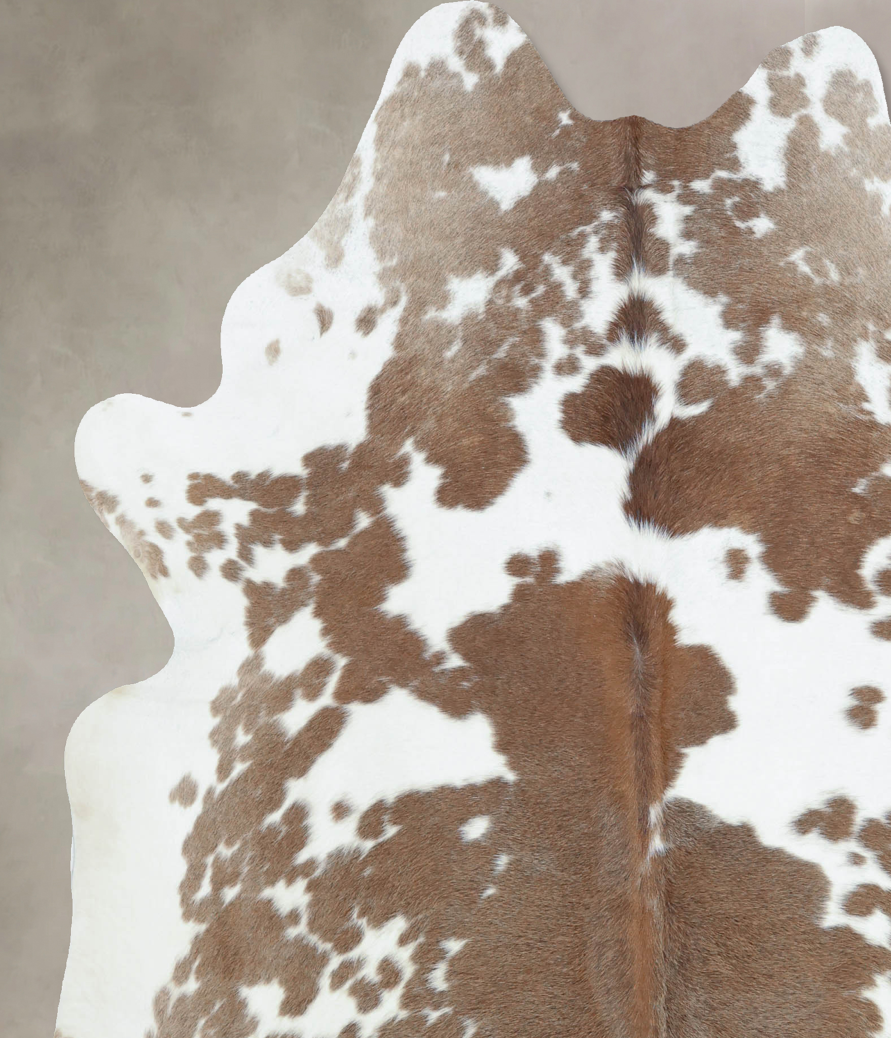 Brown and White Cowhide Rug #B8921