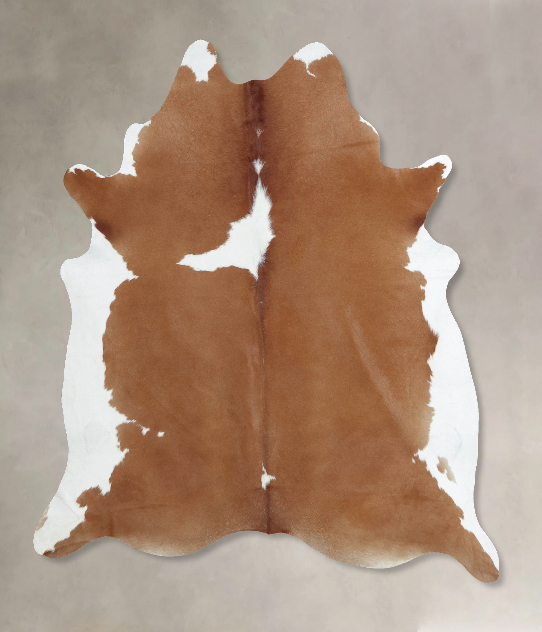 Brown and White Cowhide Rug #B8962