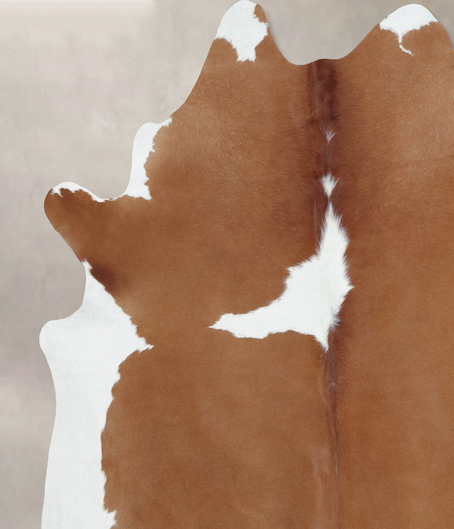 Brown and White Cowhide Rug #B8962