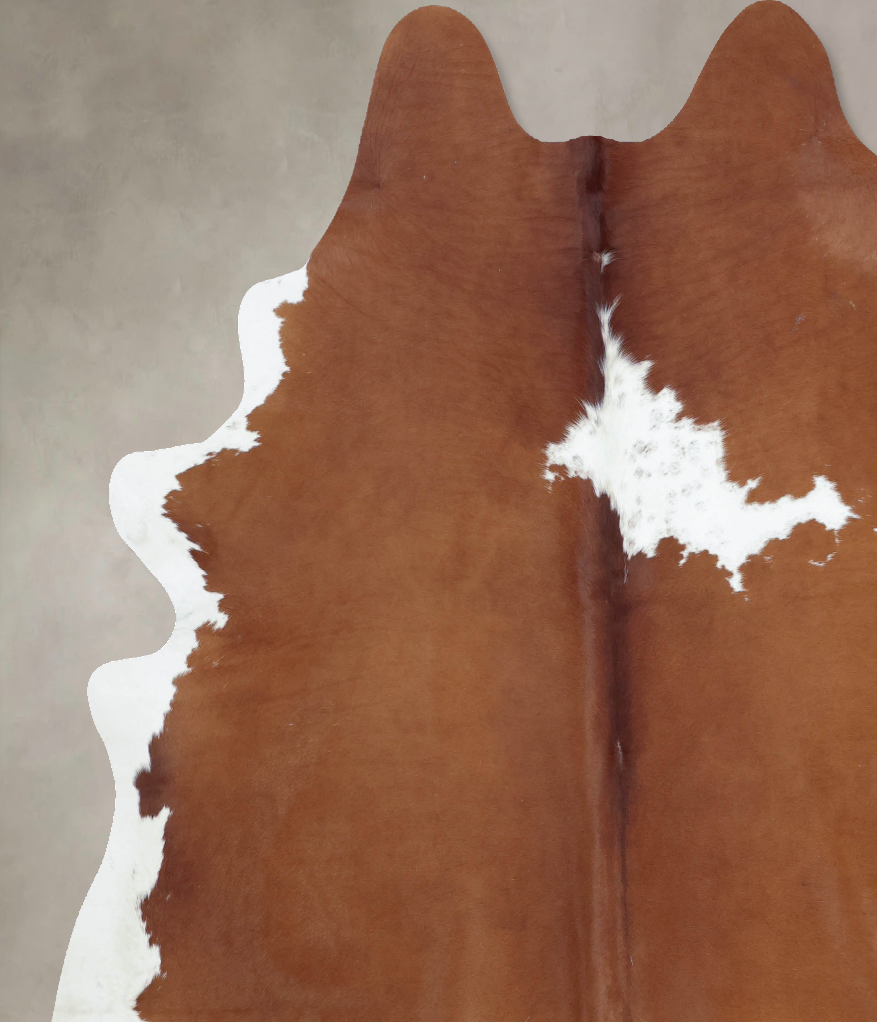 Brown and White Regular Cowhide Rug #B8964