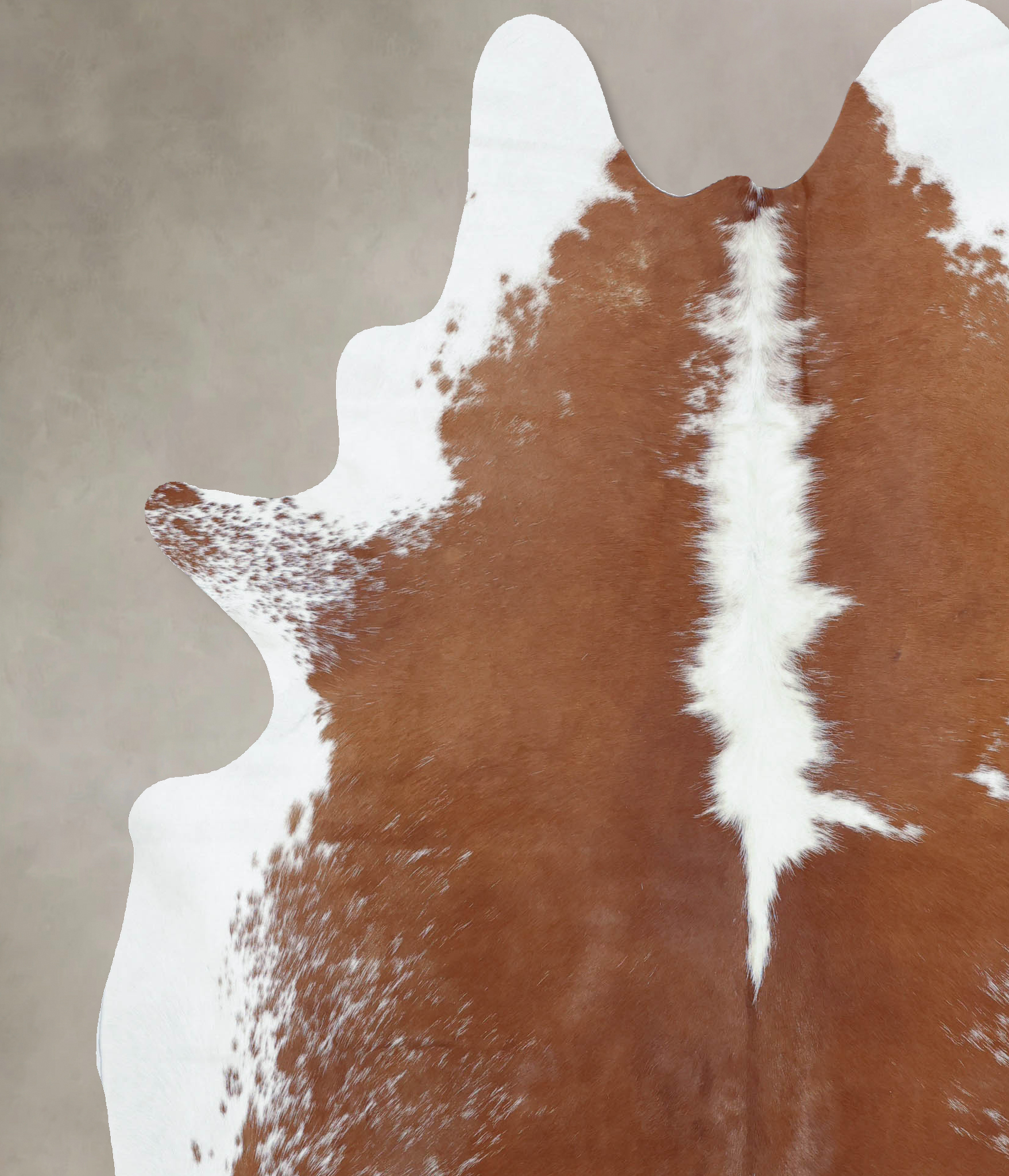 Brown and White Regular Cowhide Rug #B9025