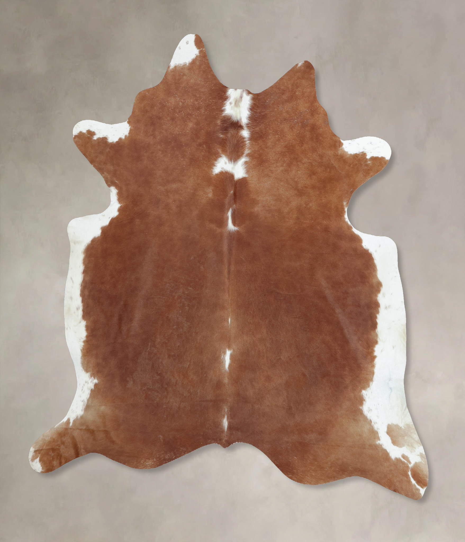 Brown and White Regular Cowhide Rug #B9213