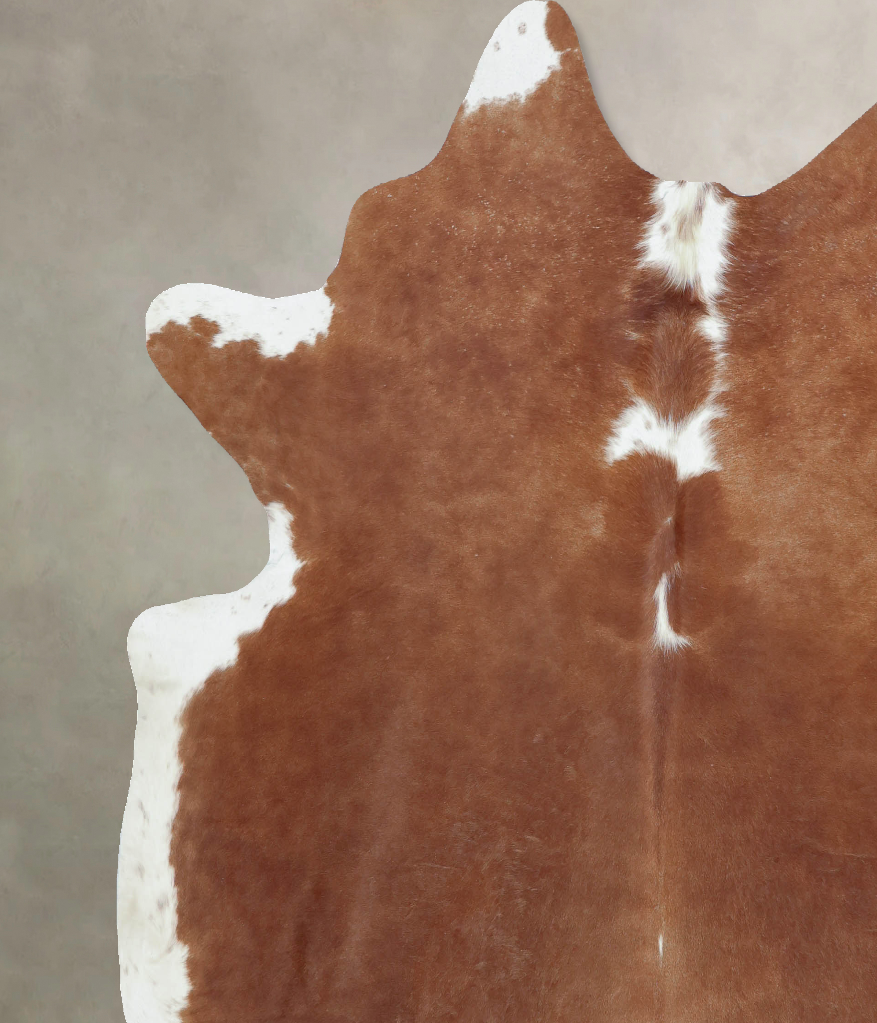 Brown and White Regular Cowhide Rug #B9213