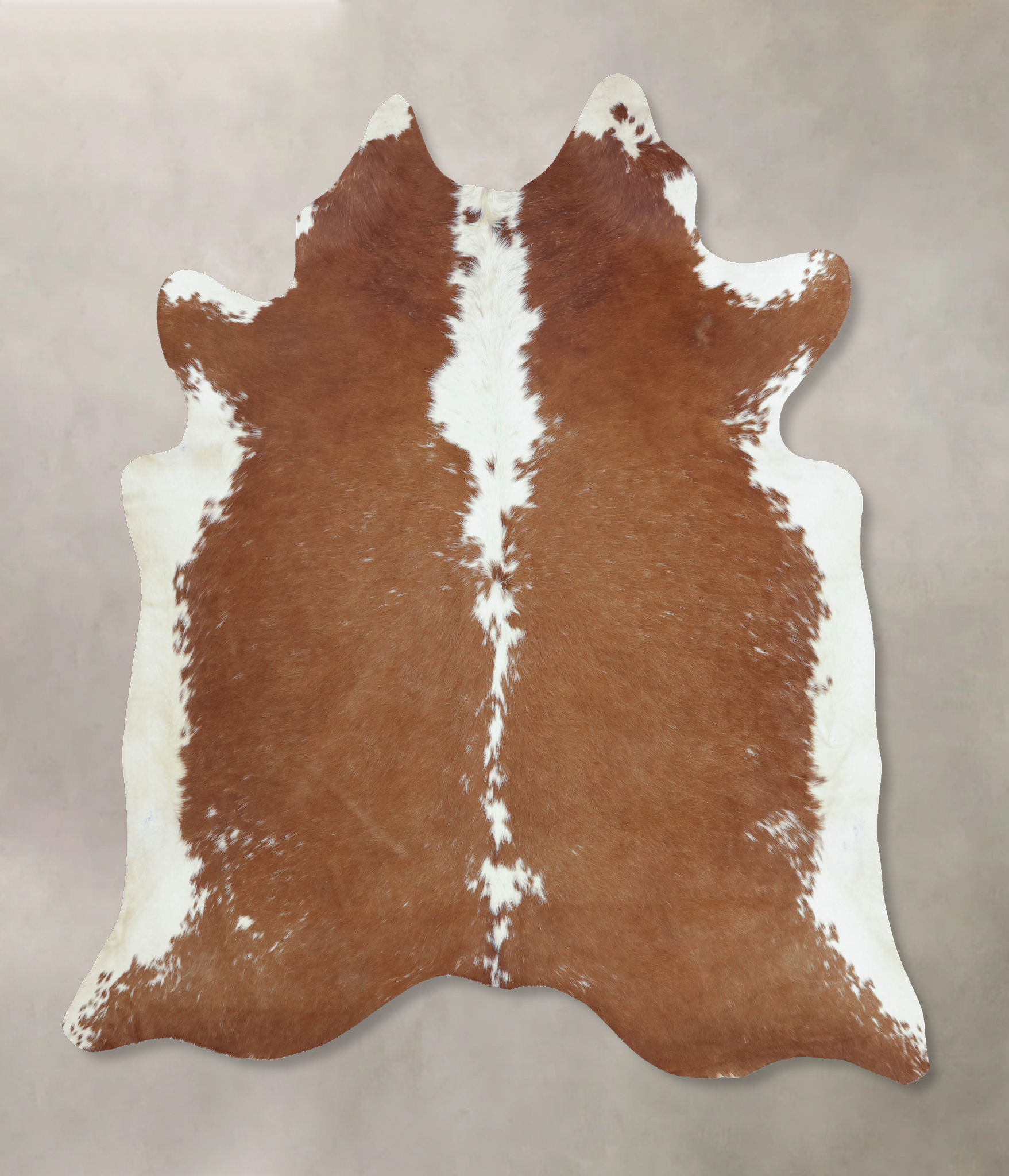 Brown and White Regular Cowhide Rug #B9215