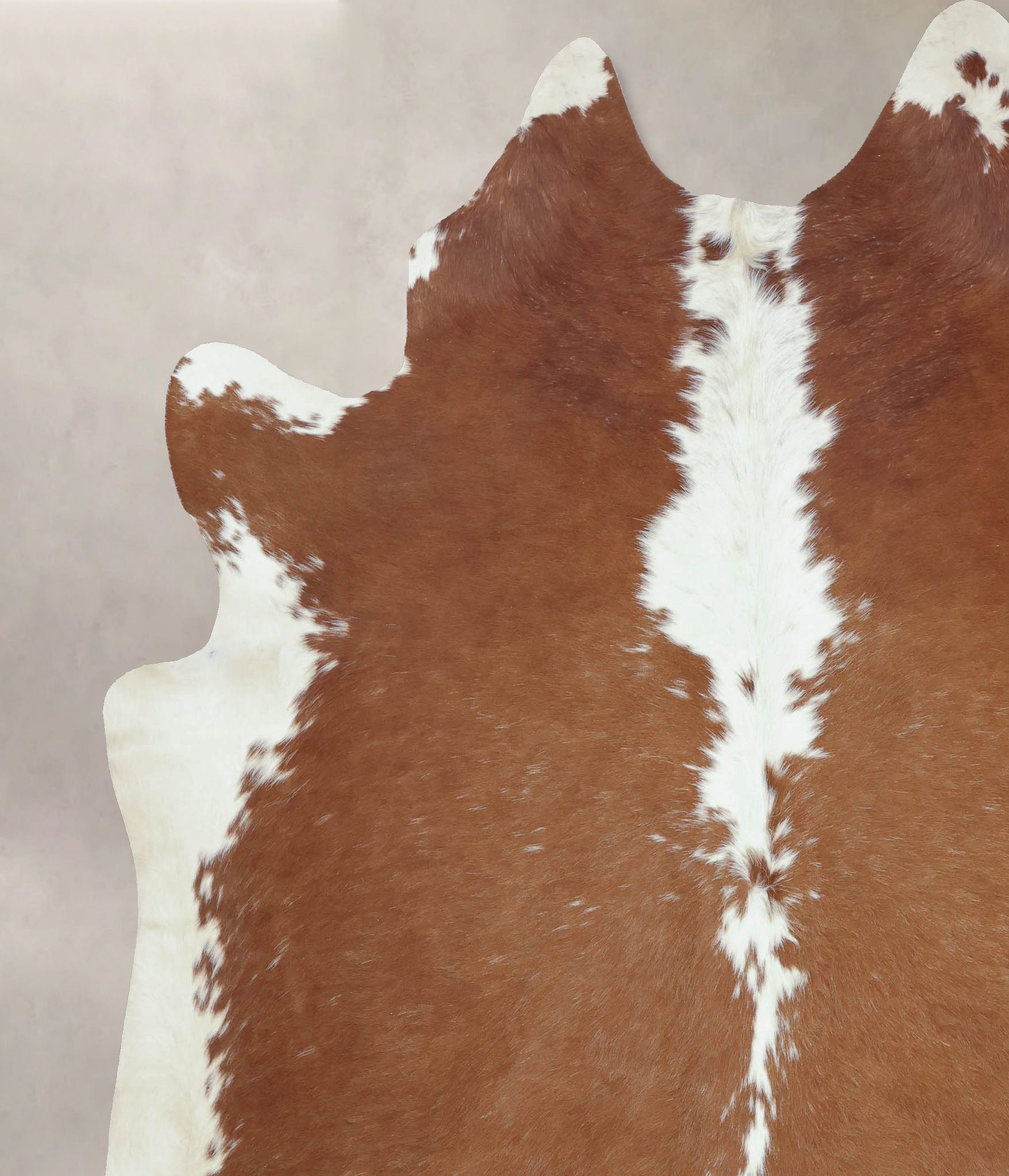 Brown and White Regular Cowhide Rug #B9215