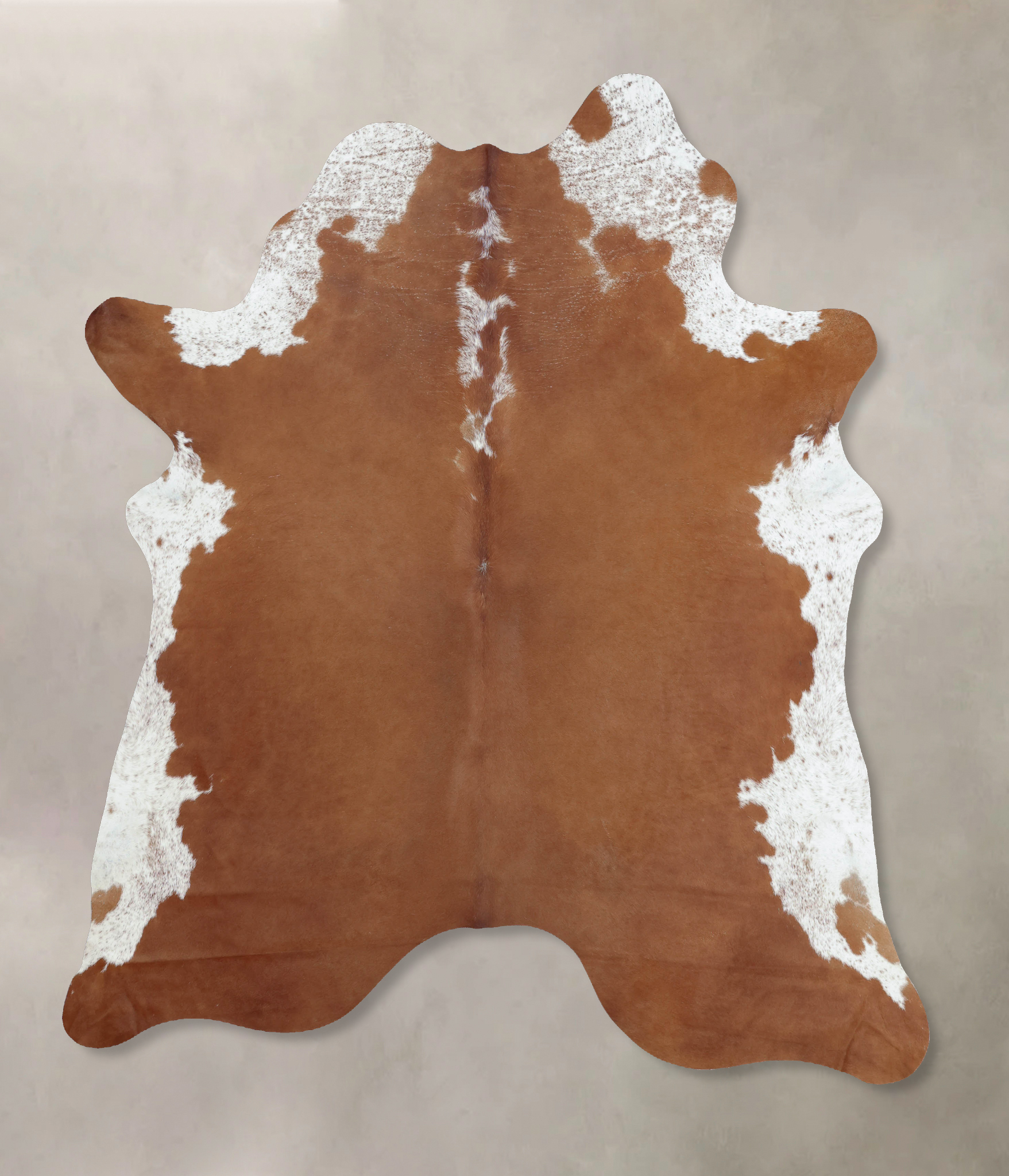 Brown and White Regular Cowhide Rug #B9281