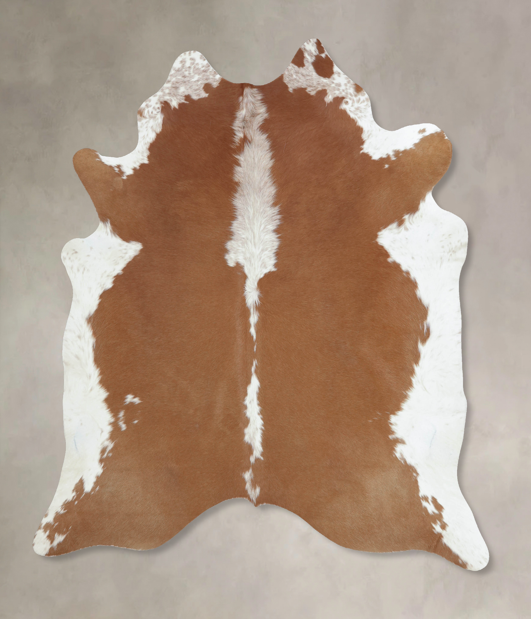 Brown and White Regular Cowhide Rug #B9302