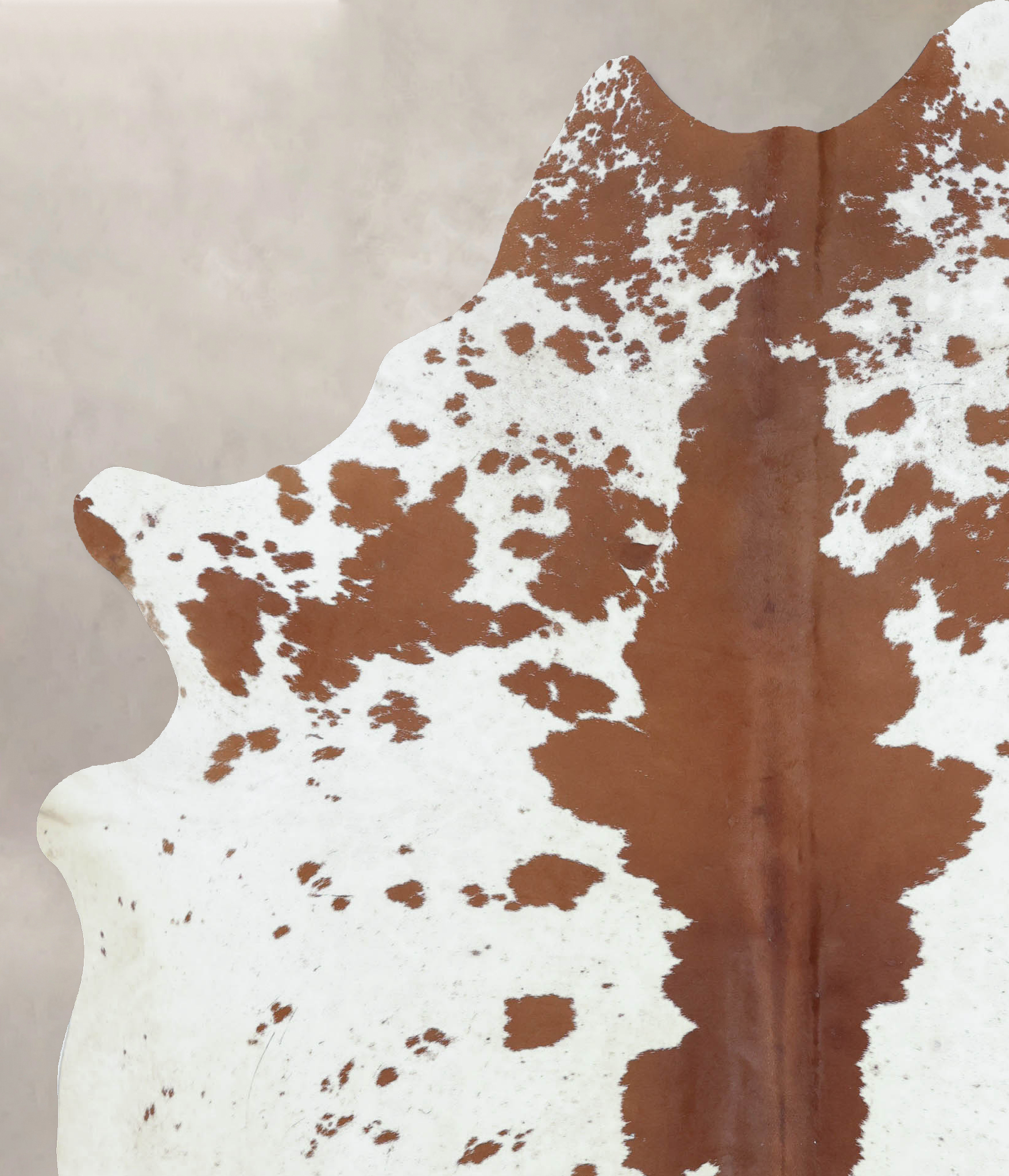 Brown and White Cowhide Rug #B9382