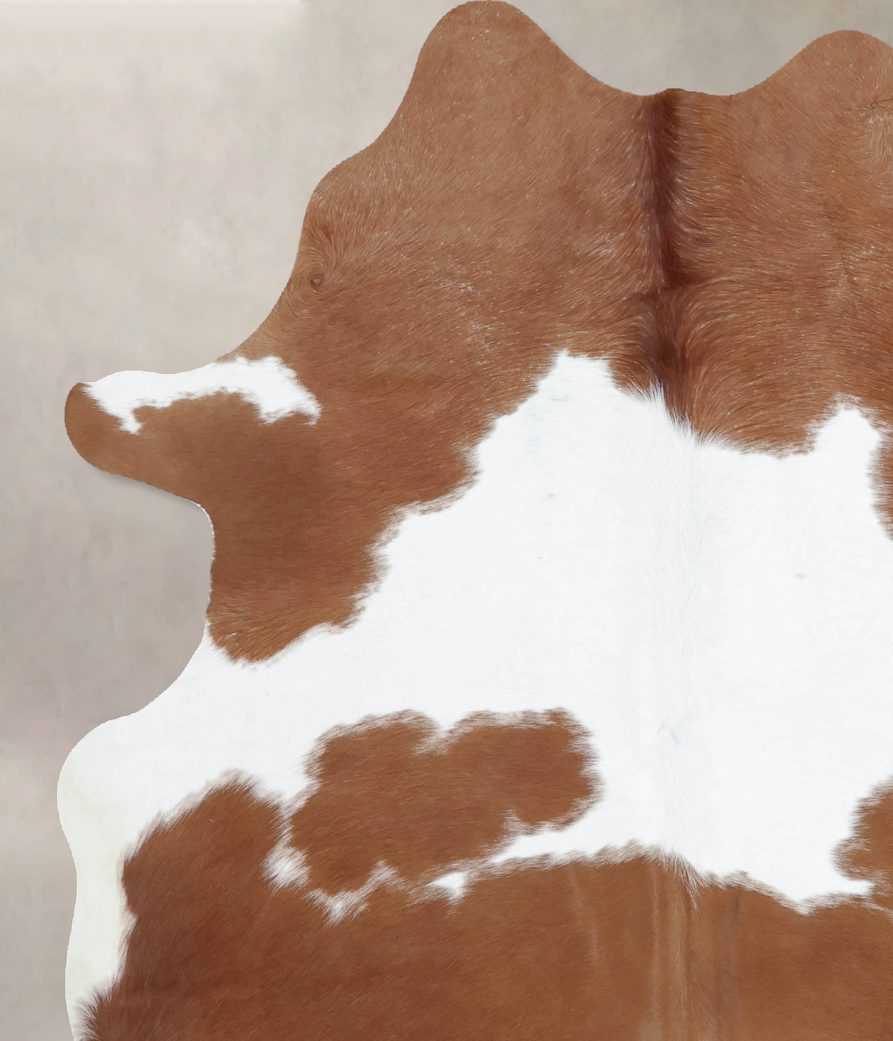 Brown and White Cowhide Rug #B9385