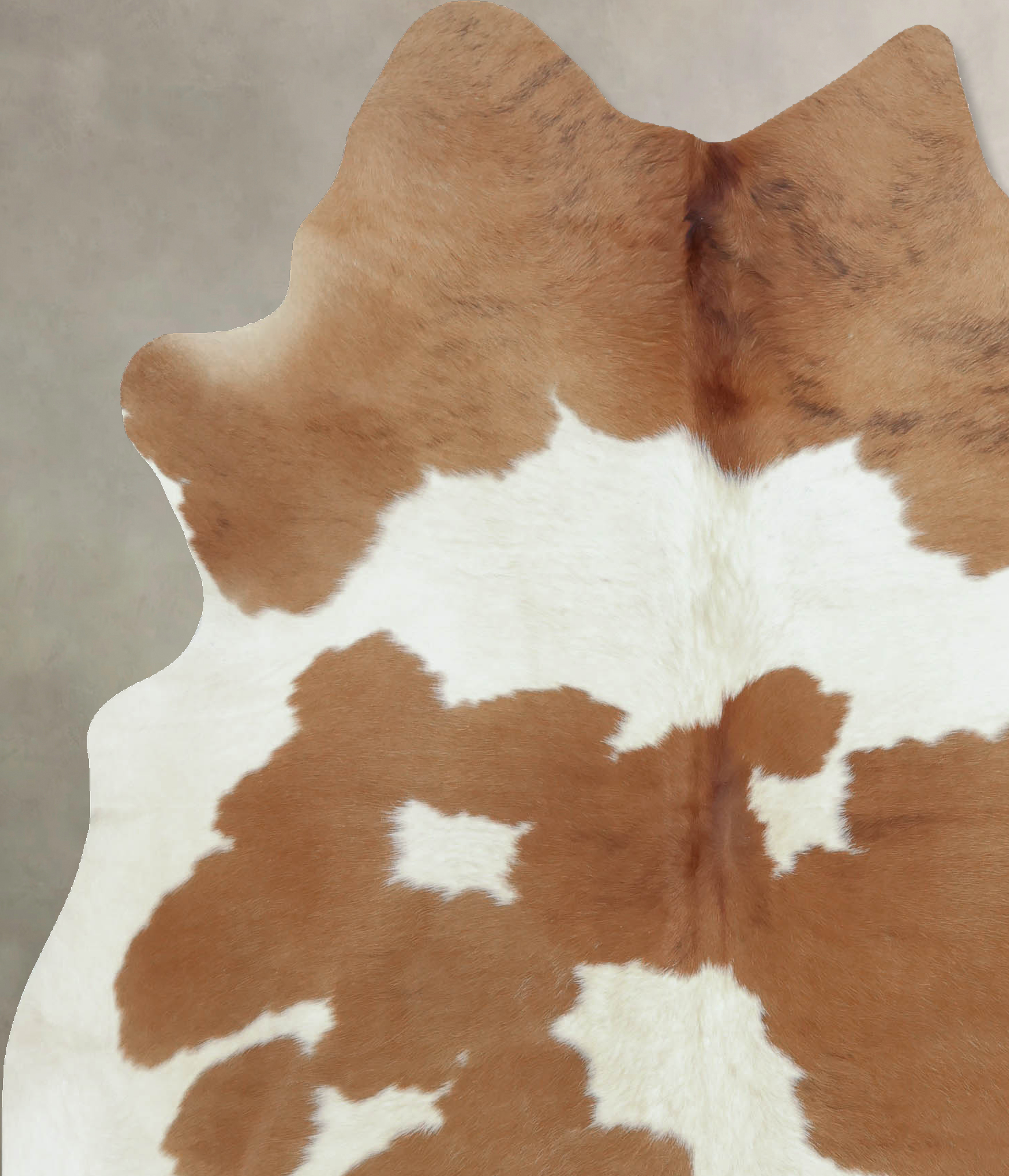 Brown and White Cowhide Rug #B9386