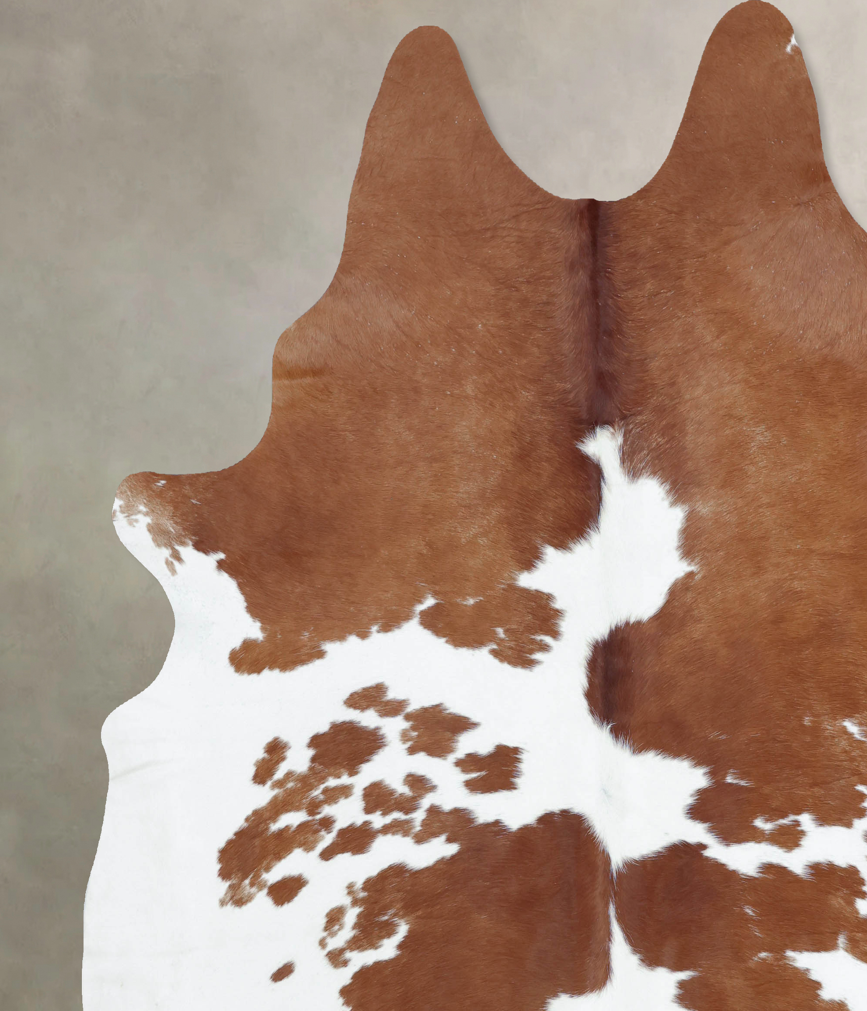 Brown and White Cowhide Rug #B9396