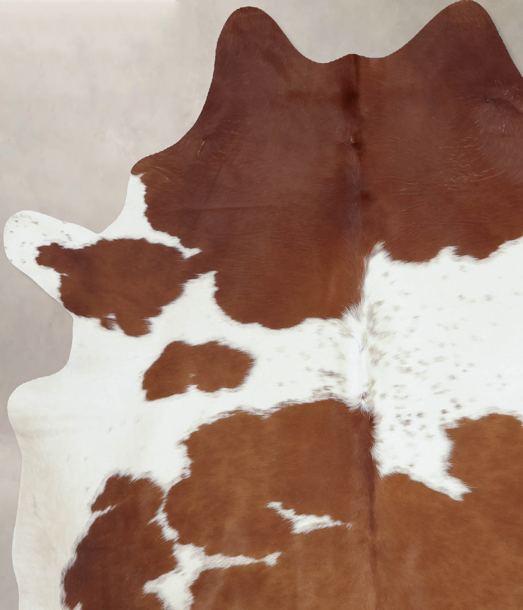 Brown and White Cowhide Rug #B9397