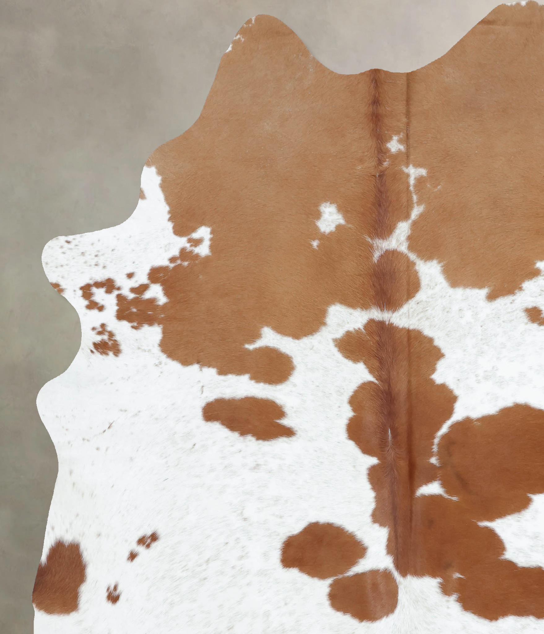 Brown and White Cowhide Rug #B9398