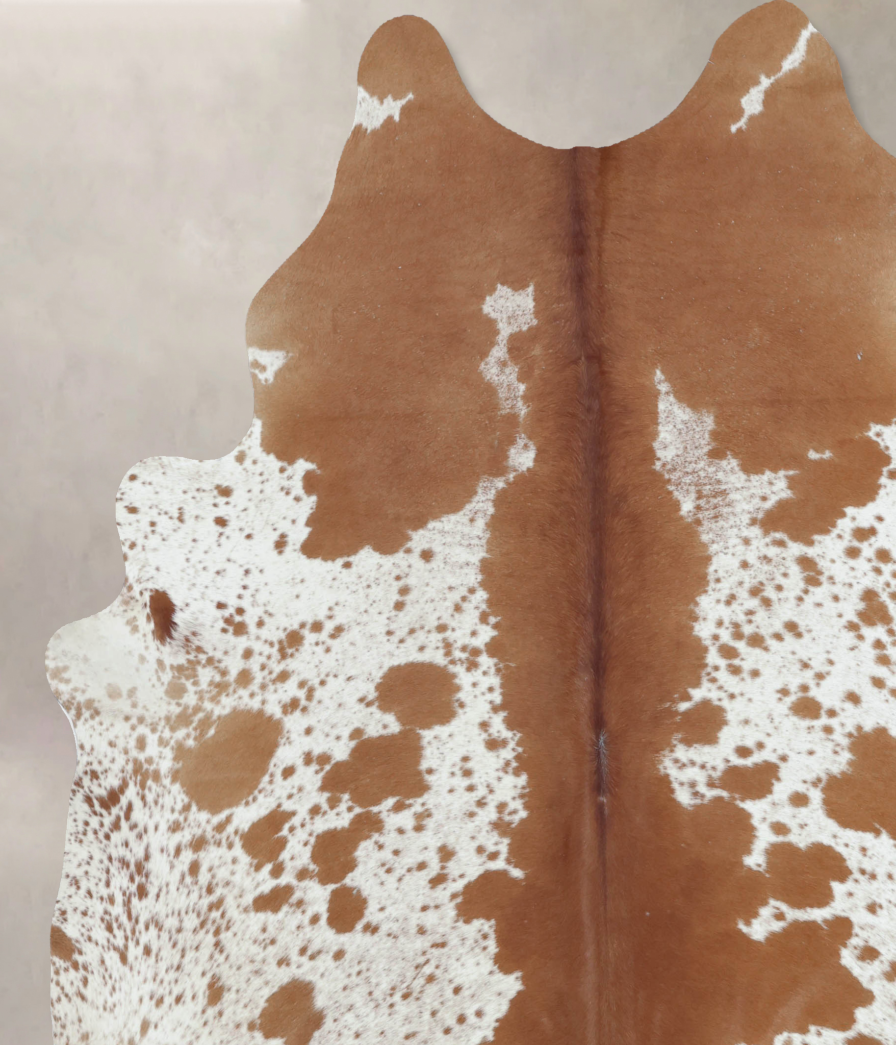 Brown and White Cowhide Rug #B9402