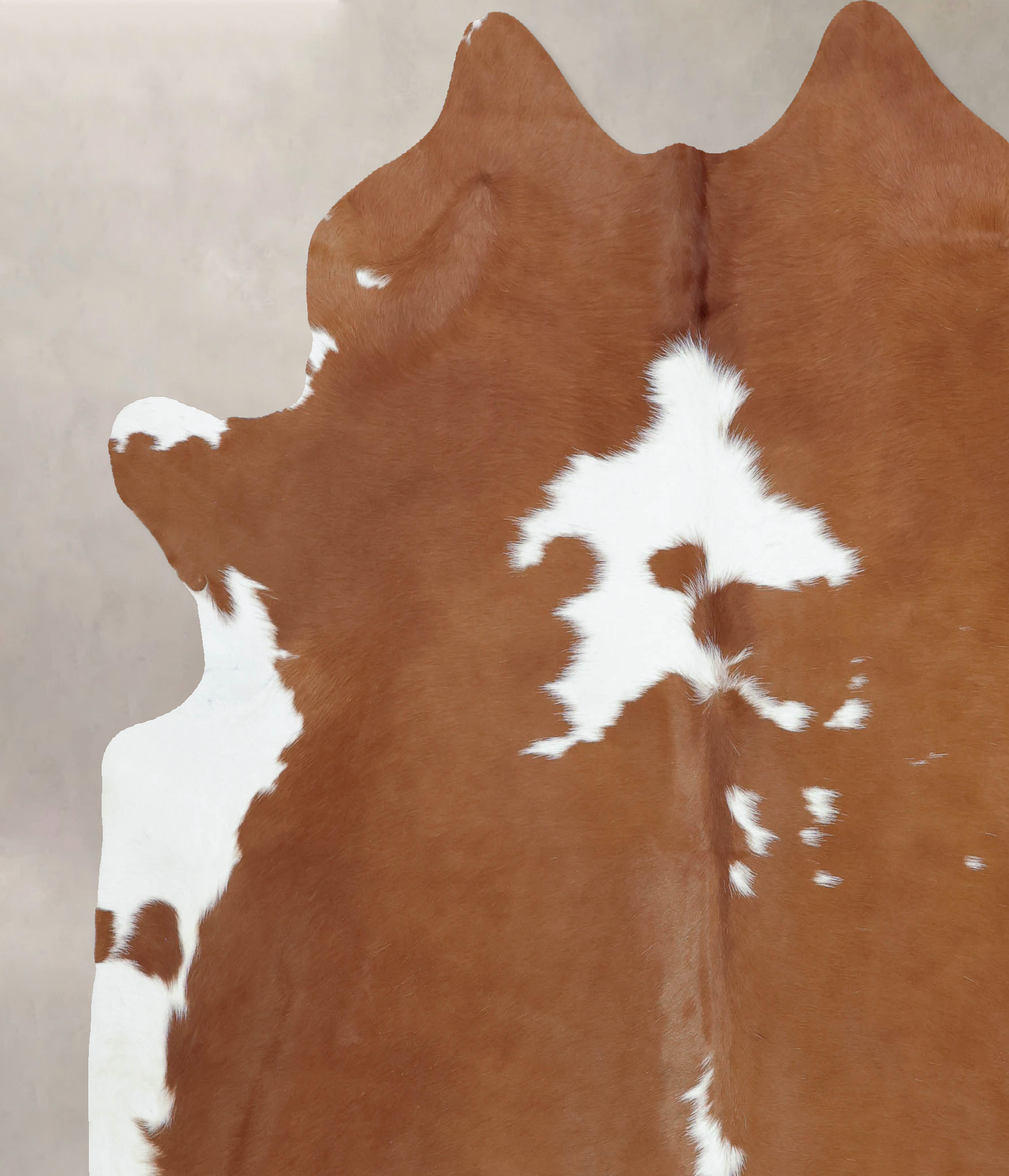 Brown and White Cowhide Rug #B9432