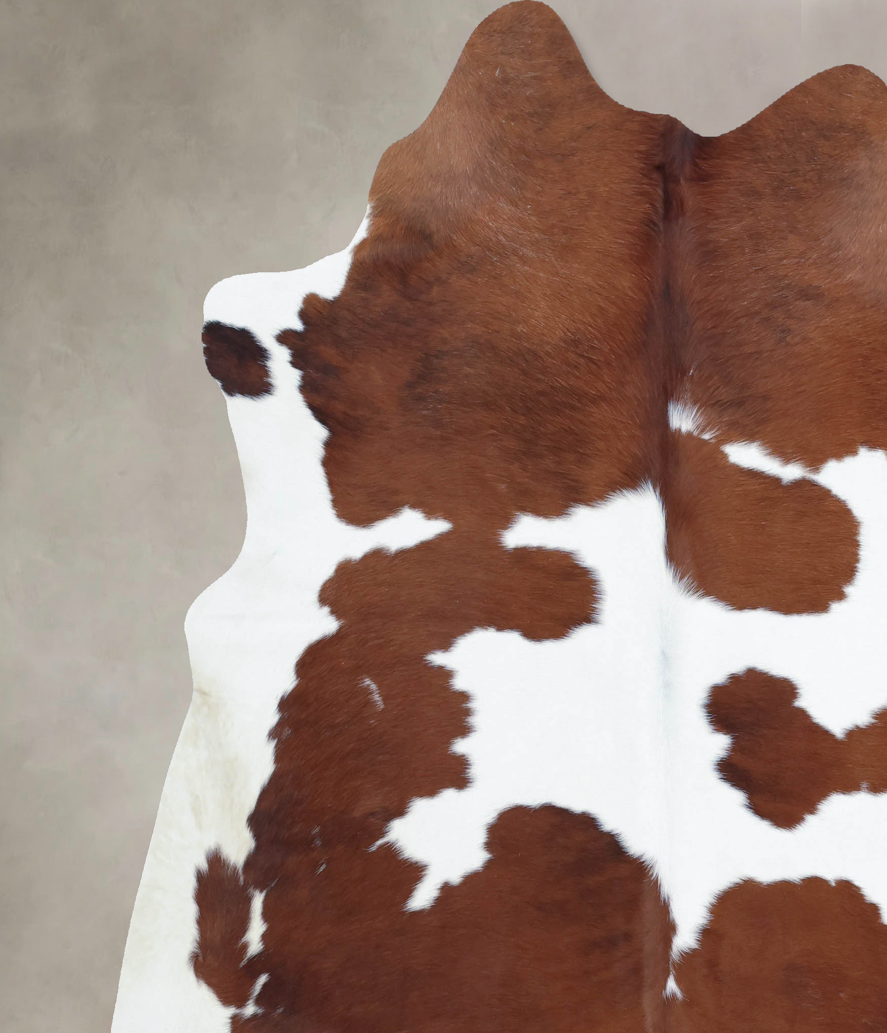 Brown and White Cowhide Rug #B9441