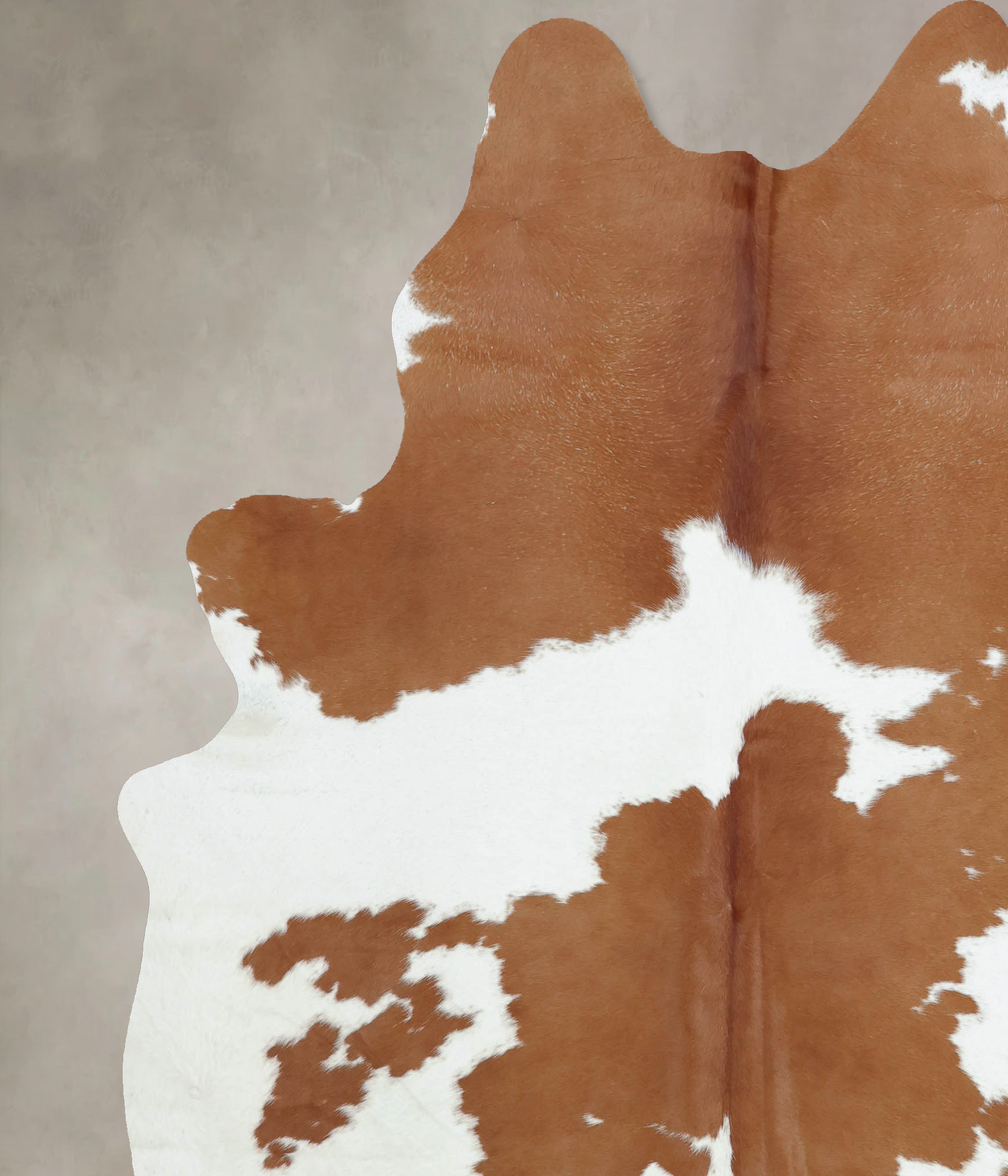 Brown and White Cowhide Rug #B9454