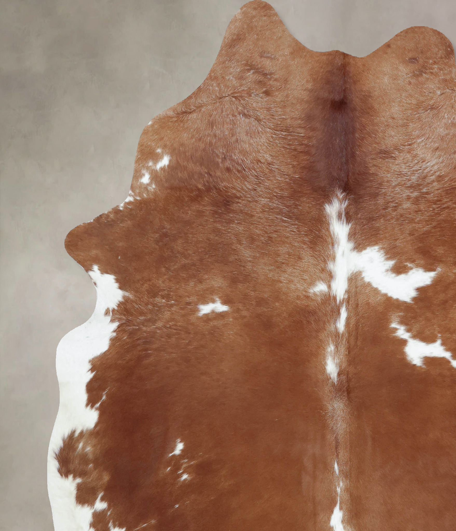 Brown and White Cowhide Rug #B9456