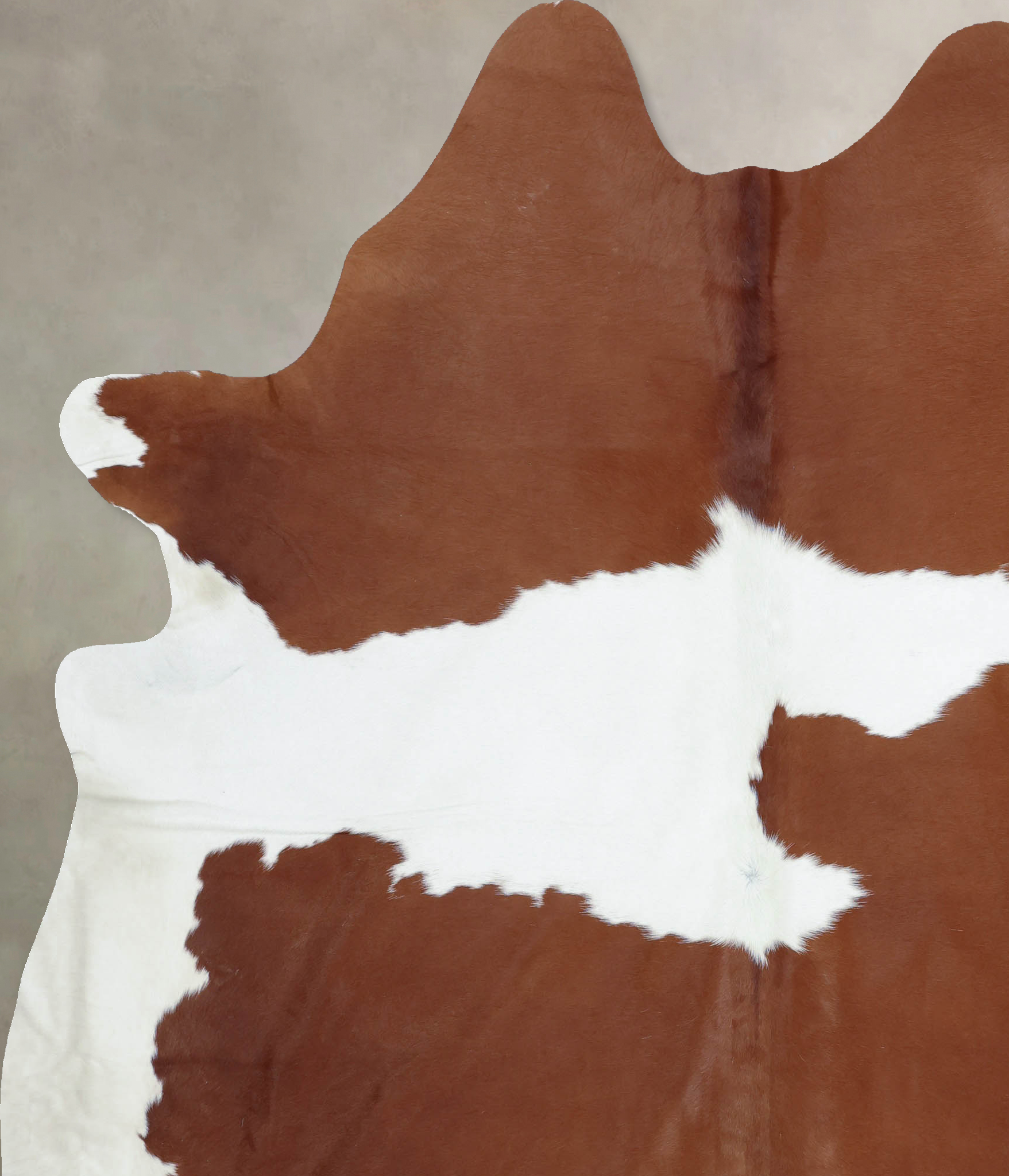 Brown and White Cowhide Rug #B9457