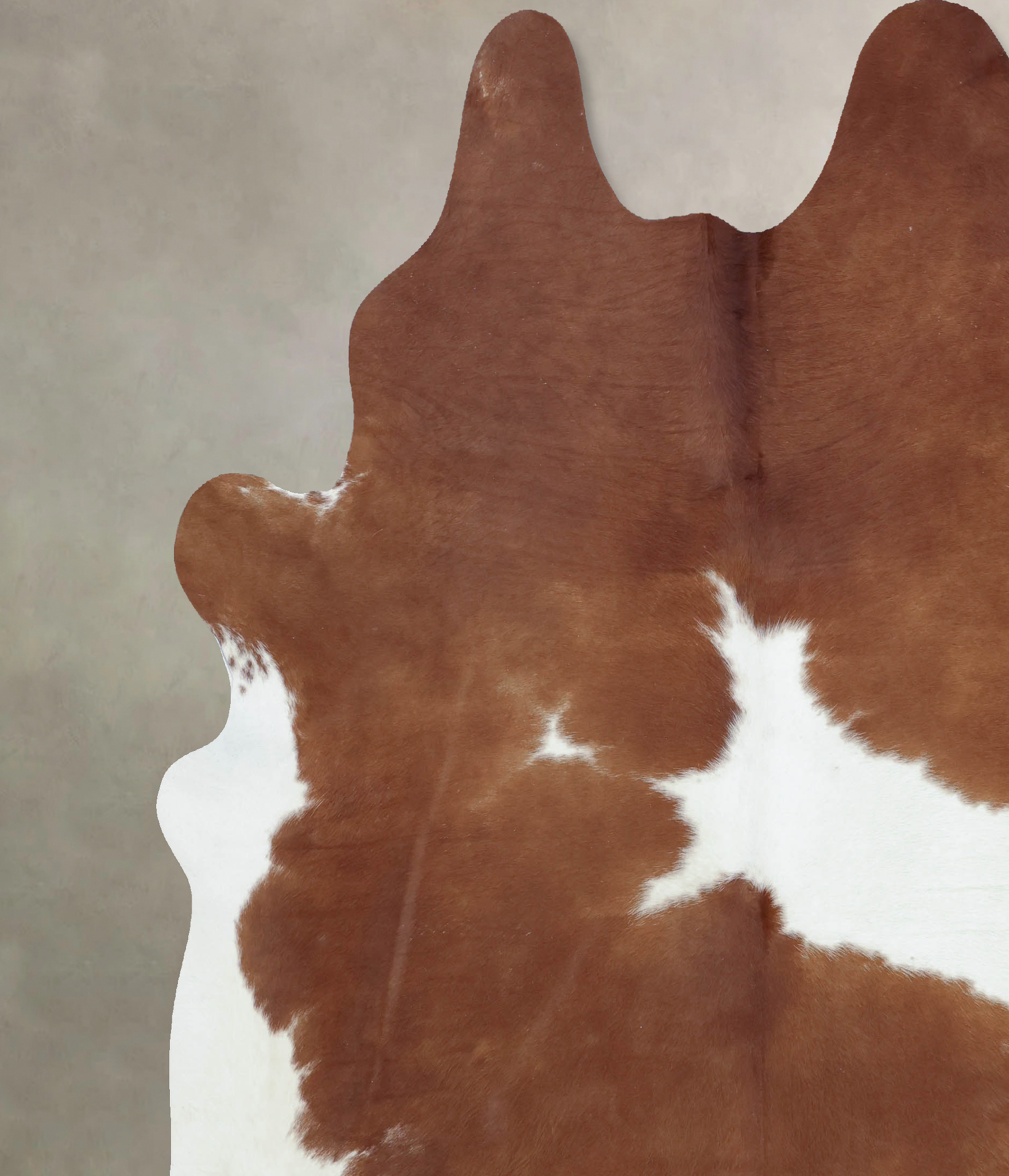 Brown and White Cowhide Rug #B9458