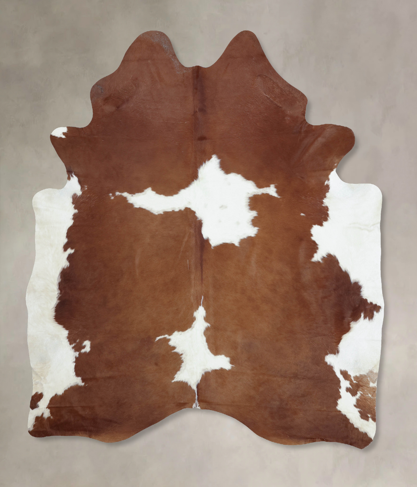 Brown and White Cowhide Rug #B9460