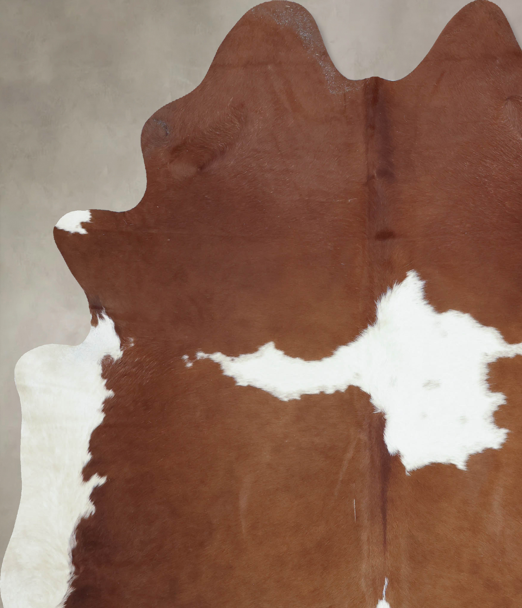 Brown and White Cowhide Rug #B9460