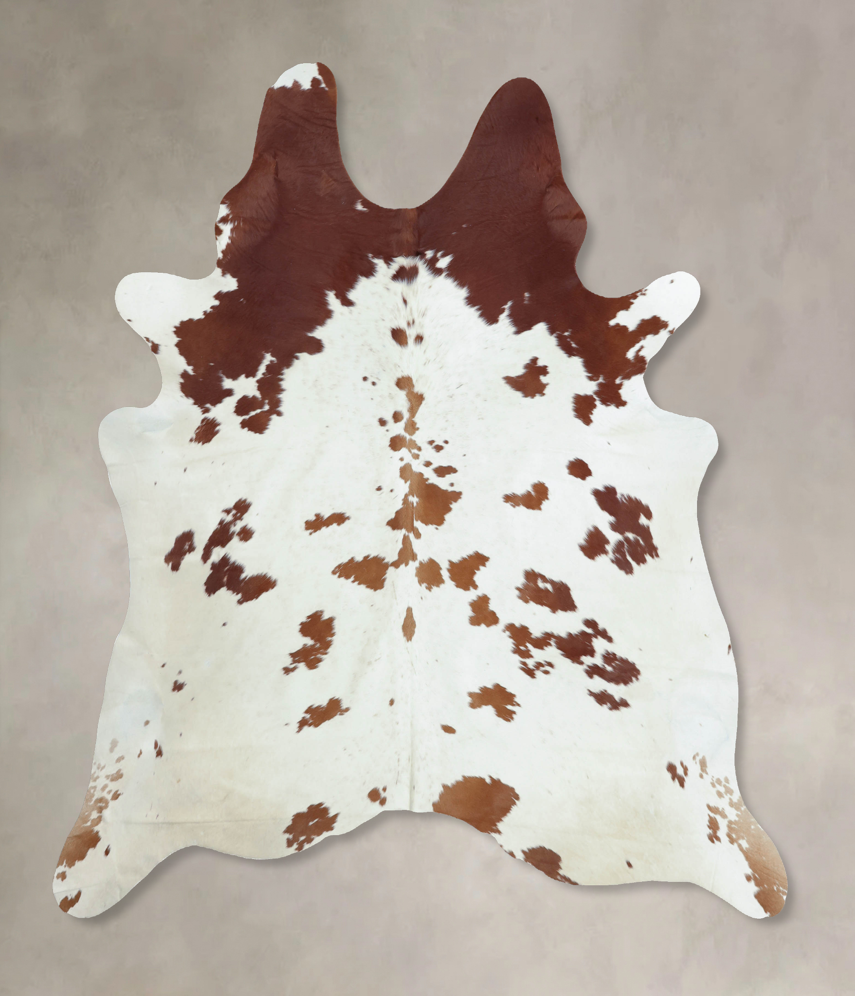 Brown and White Cowhide Rug #B9461