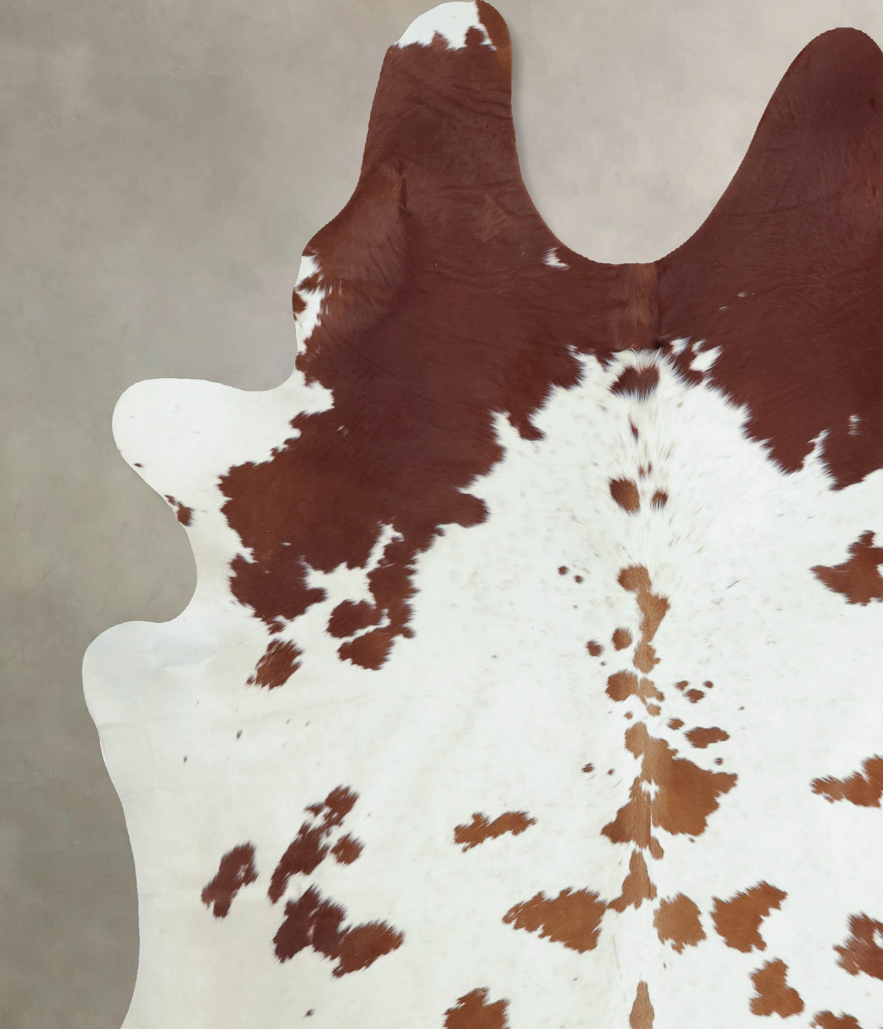 Brown and White Cowhide Rug #B9461