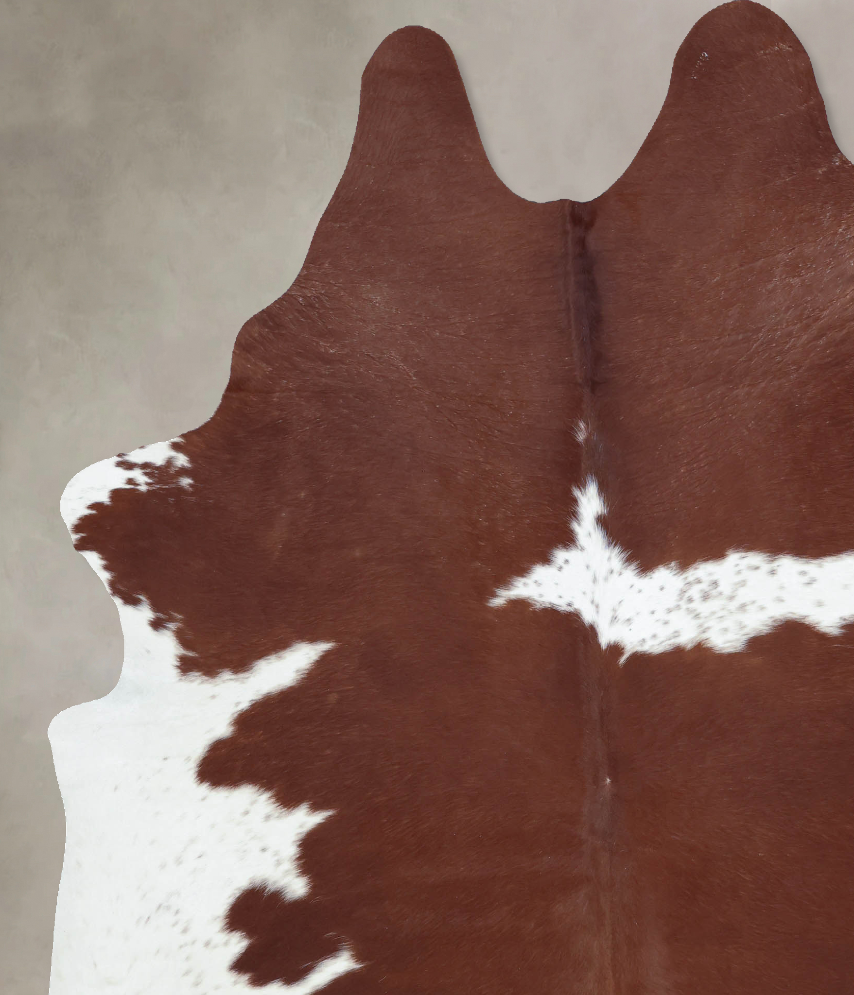 Brown and White Cowhide Rug #B9462