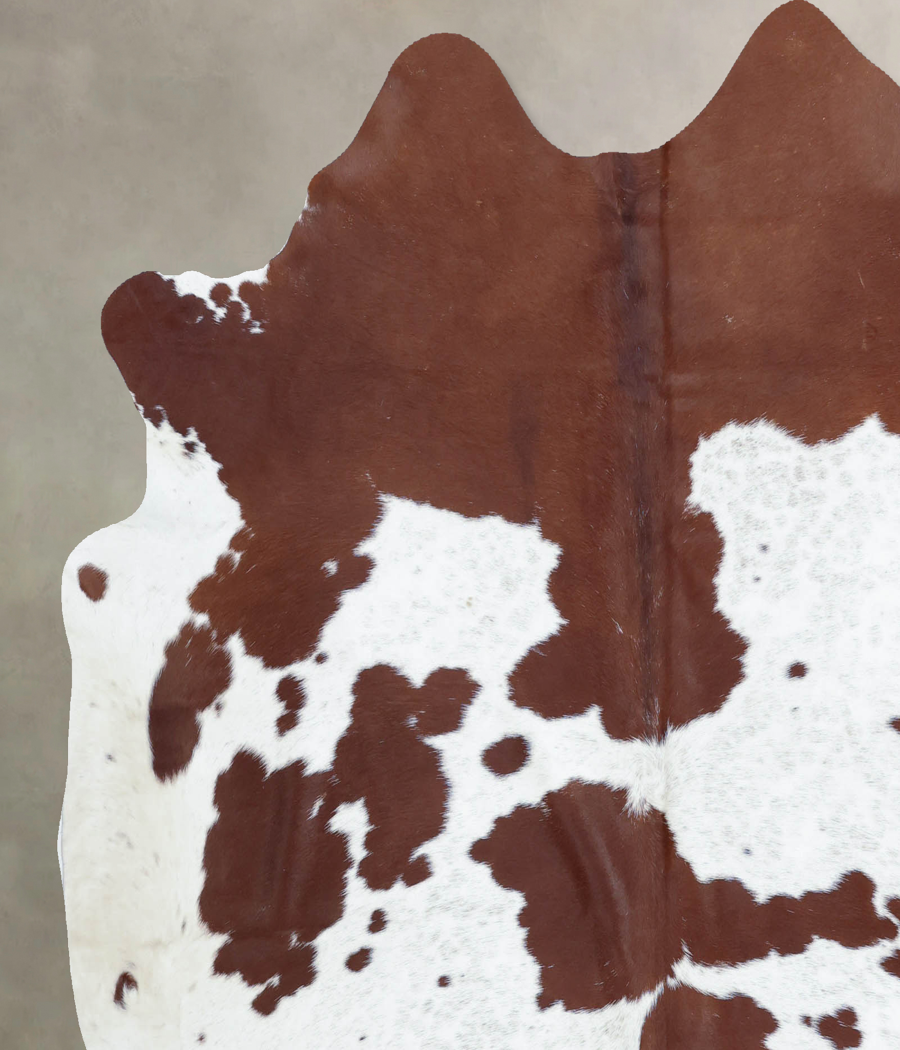 Brown and White Cowhide Rug #B9515