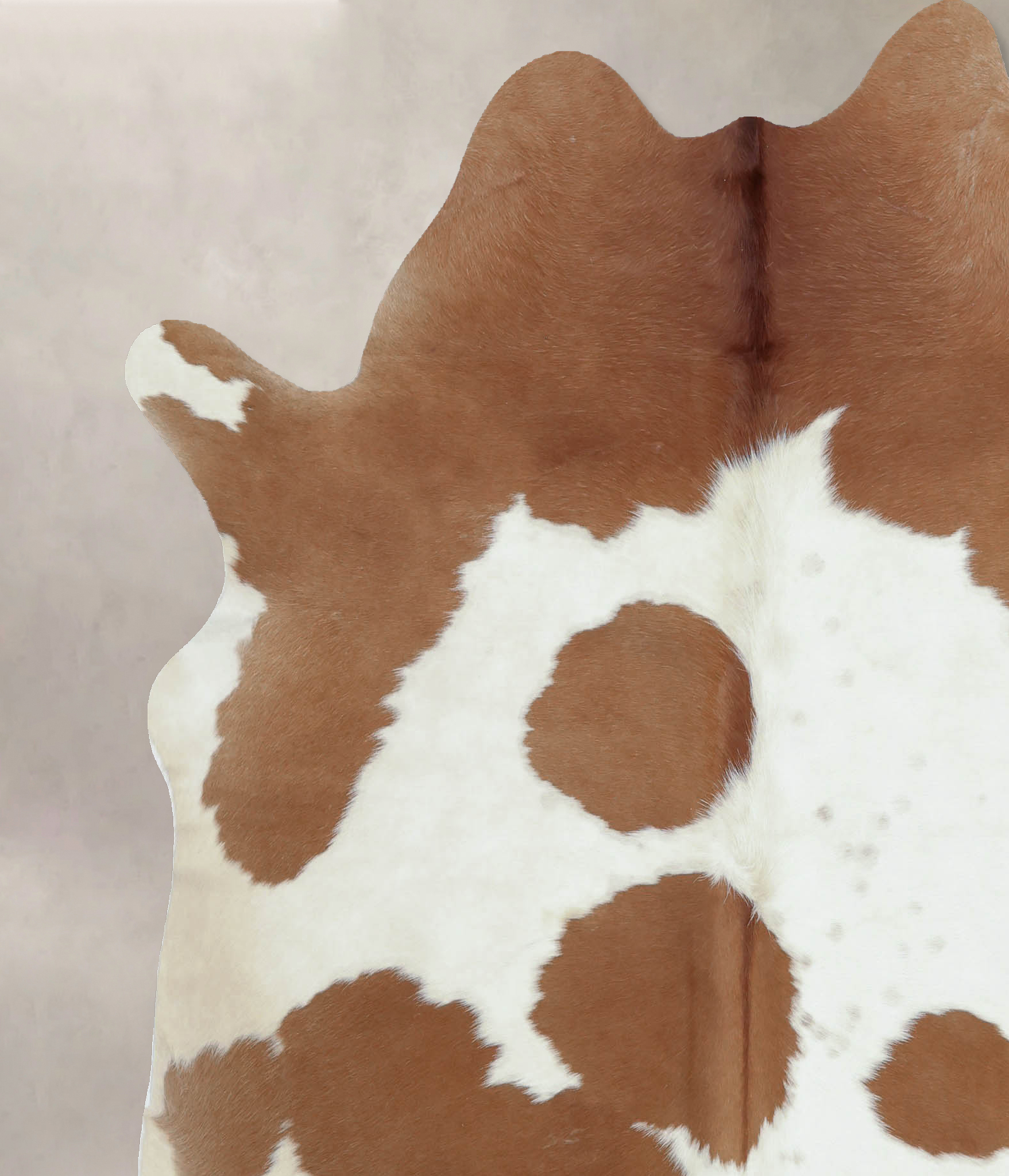 Brown and White Cowhide Rug #B9519