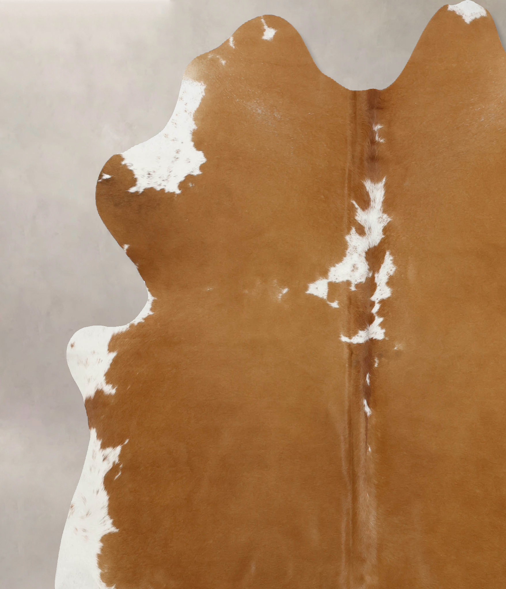 Brown and White Regular Cowhide Rug #B9877