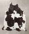 Chocolate and White XX-Large Brazilian Cowhide Rug 7'8