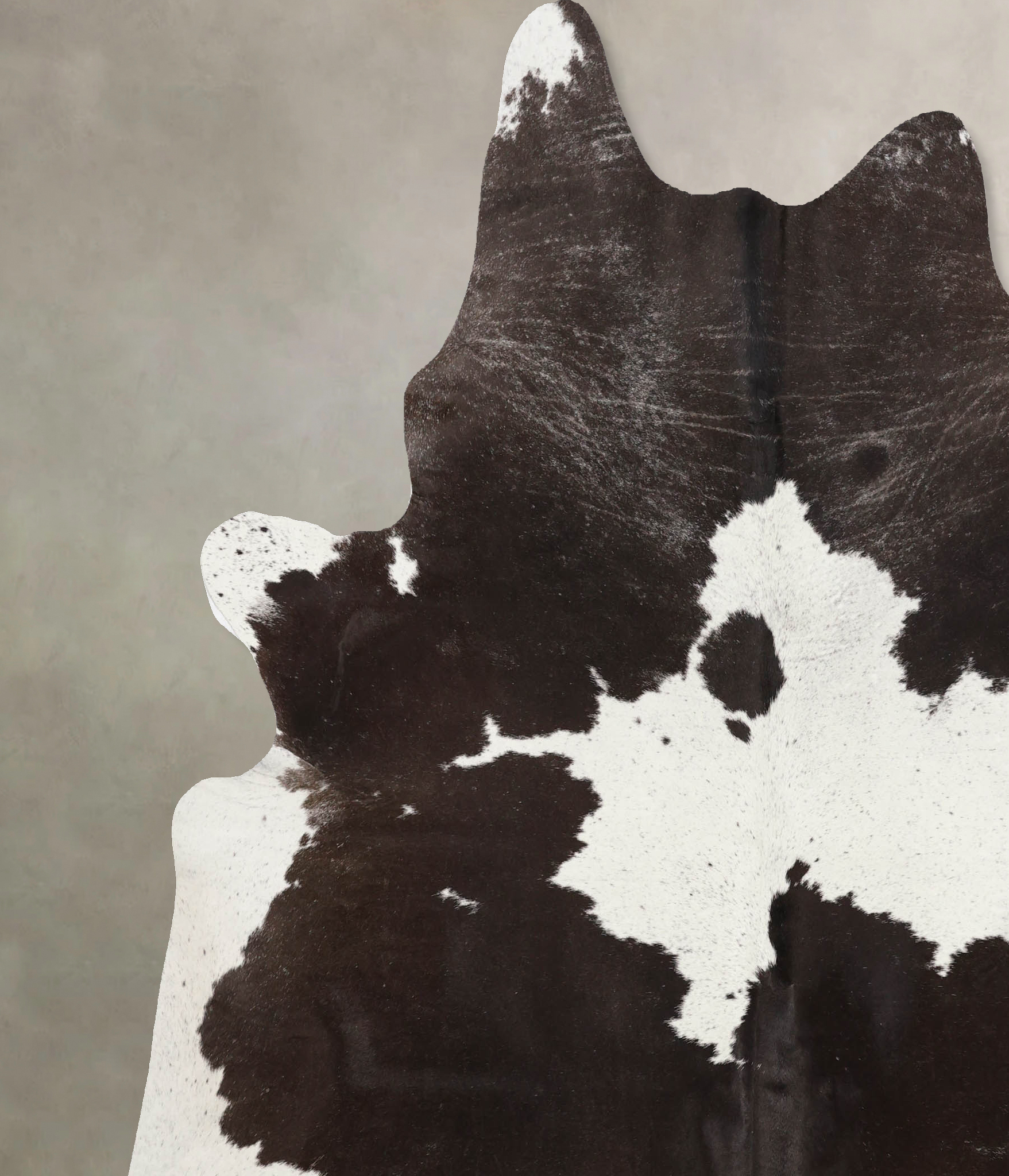 Chocolate and White Cowhide Rug #B9925